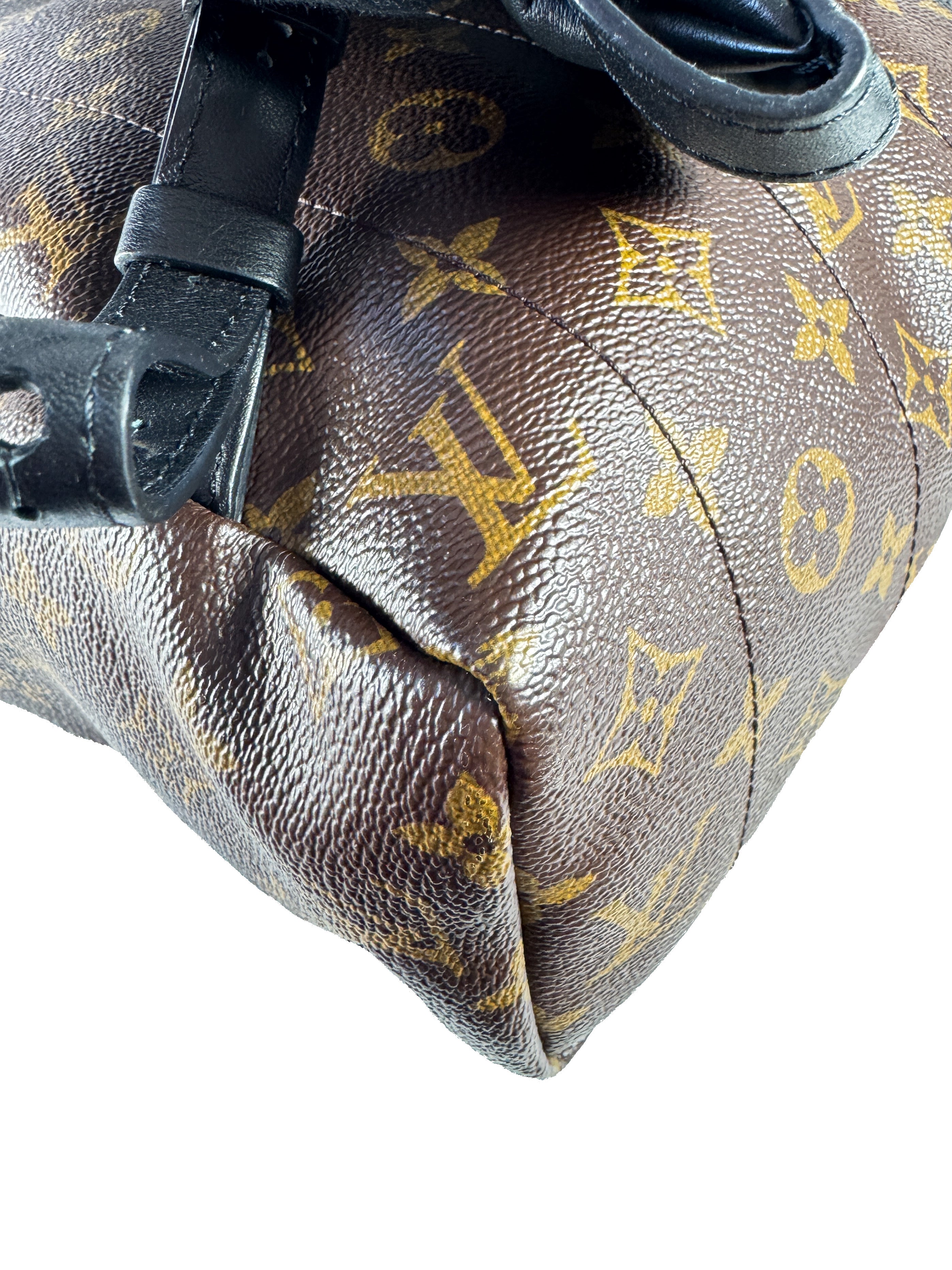 Louis Vuitton Palm Springs Backpack Monogram Canvas MM FL3198