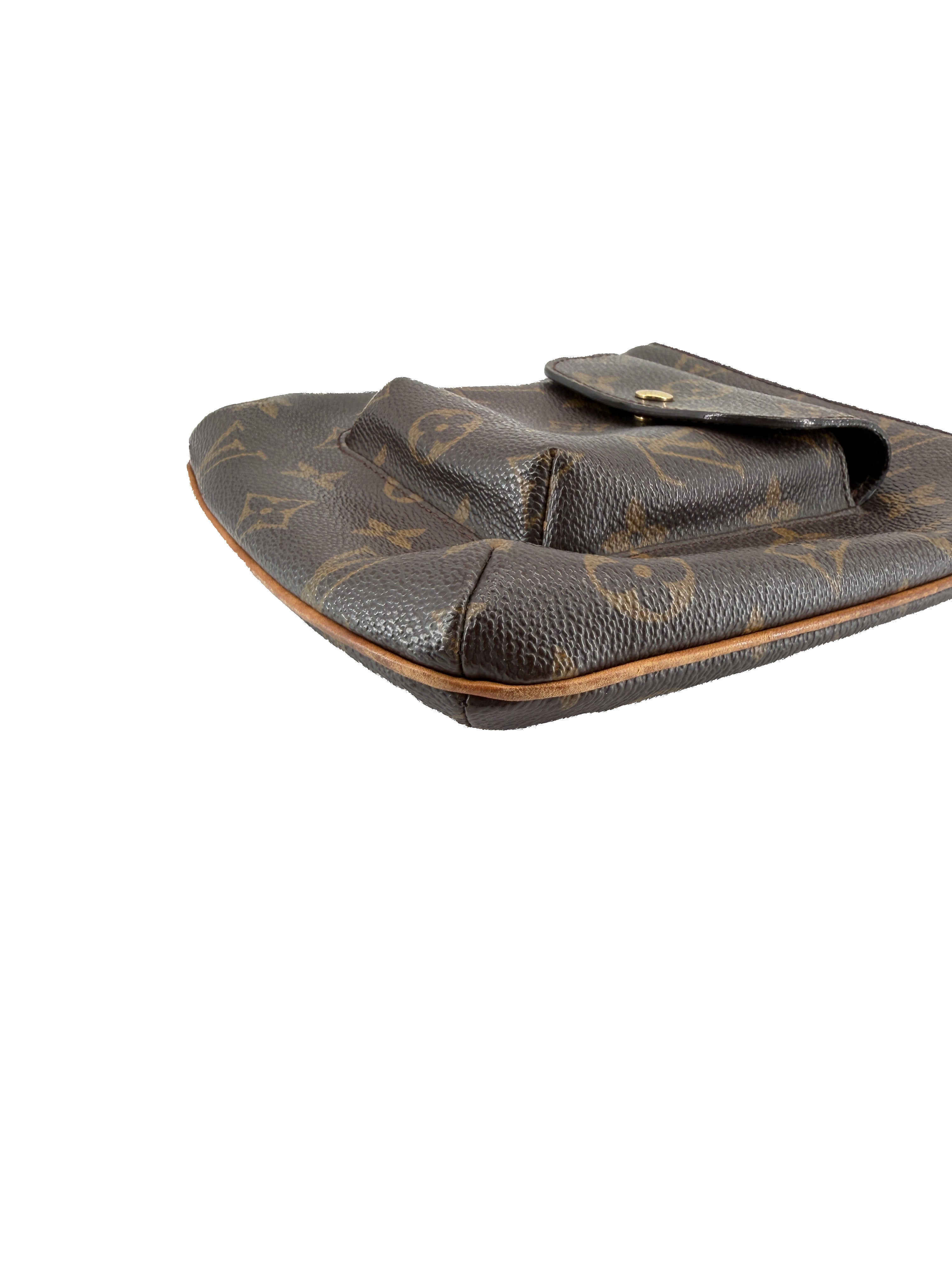 Louis Vuitton monogram Partition wristlet