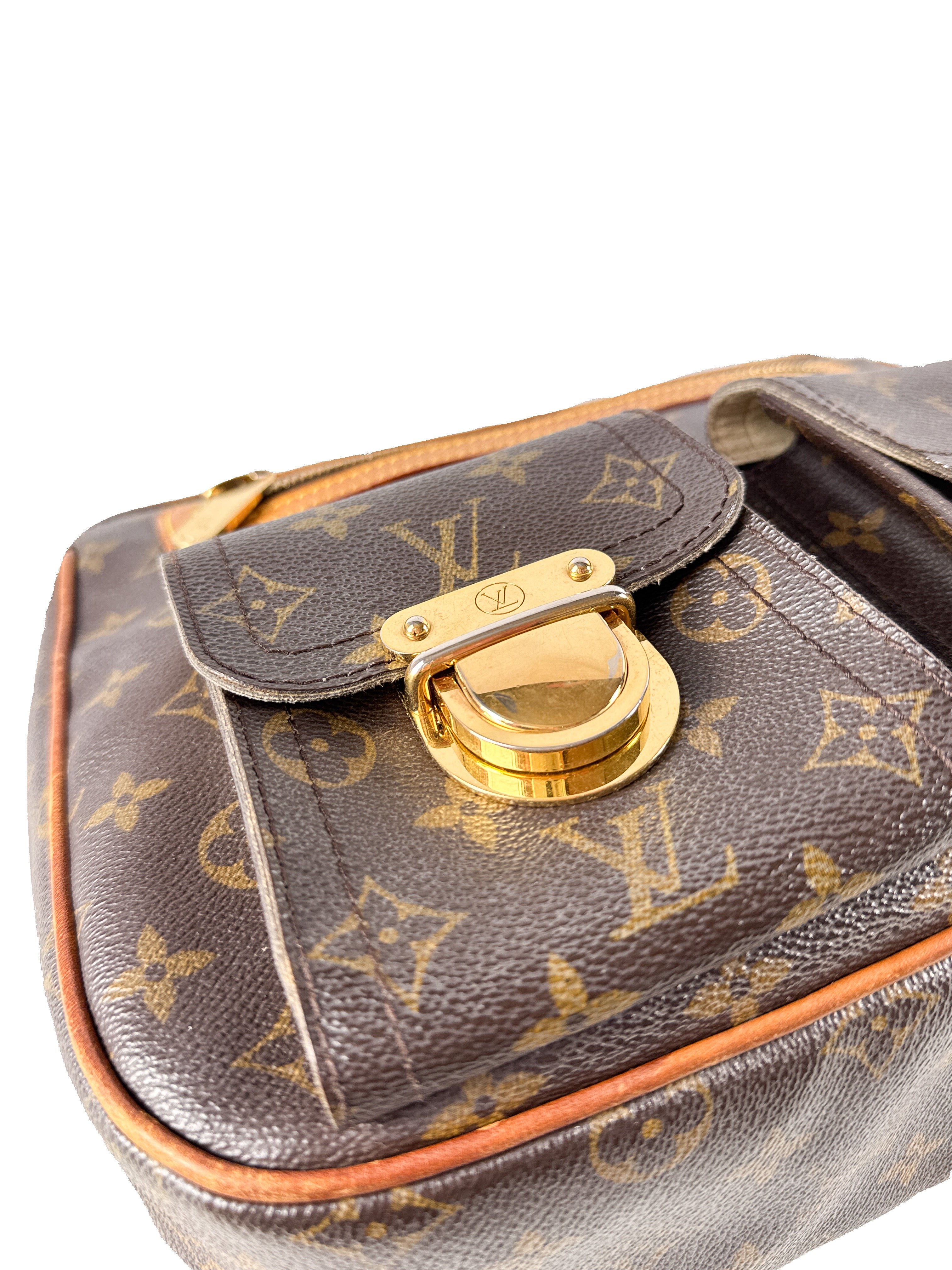 Louis Vuitton monogram Hudson GM VI1037