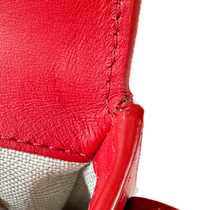 Mansur Gavriel red leather Mini Saddle crossbody