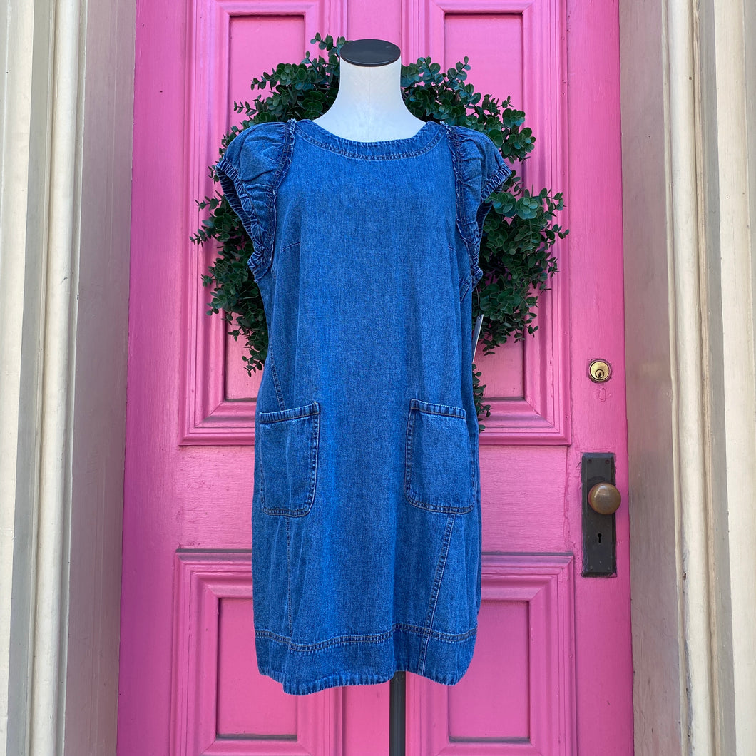 Pilcro and the Letterpress chambray SS dress size 12 NWT