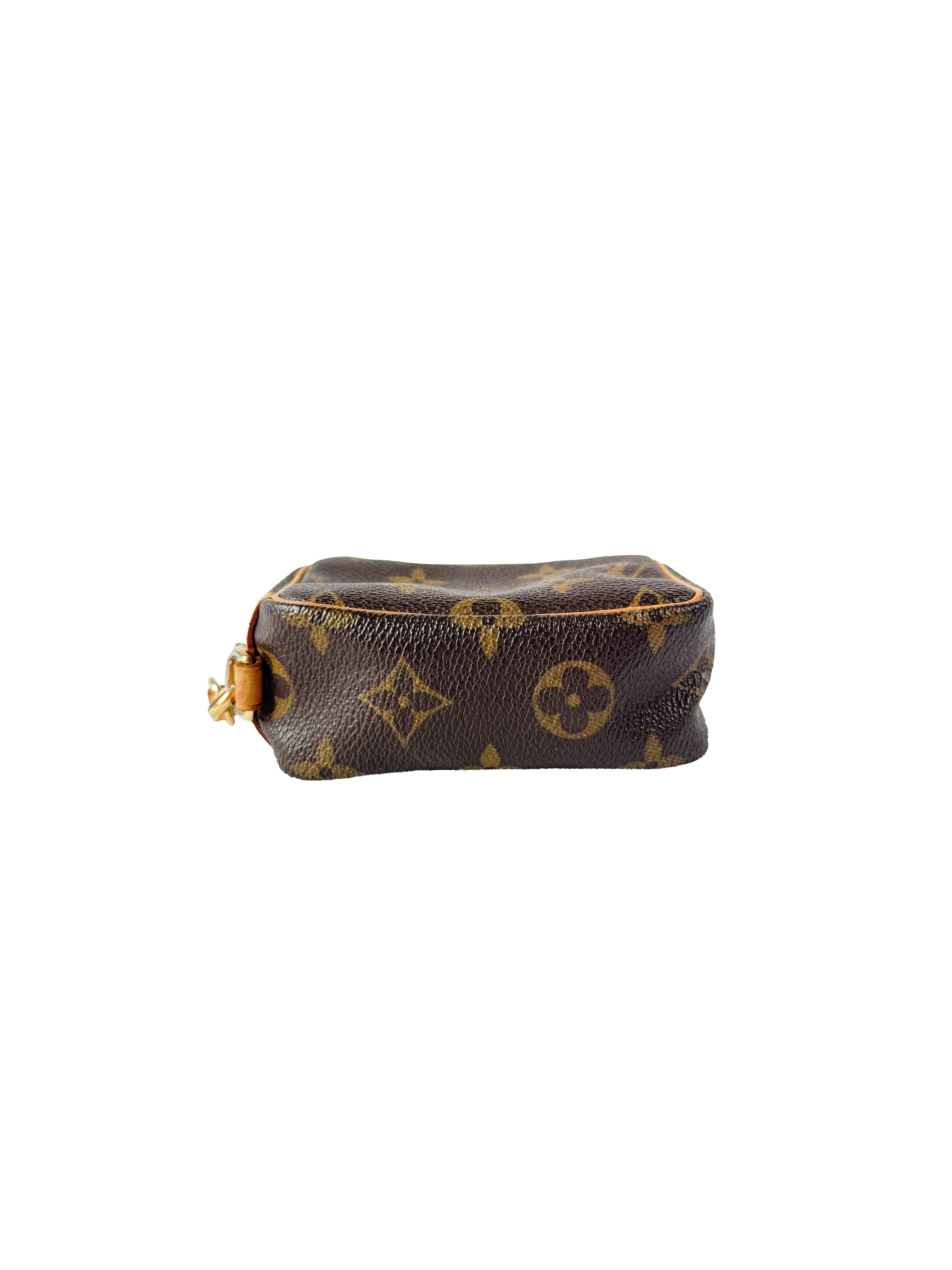 Louis Vuitton monogram Wapity FL1025