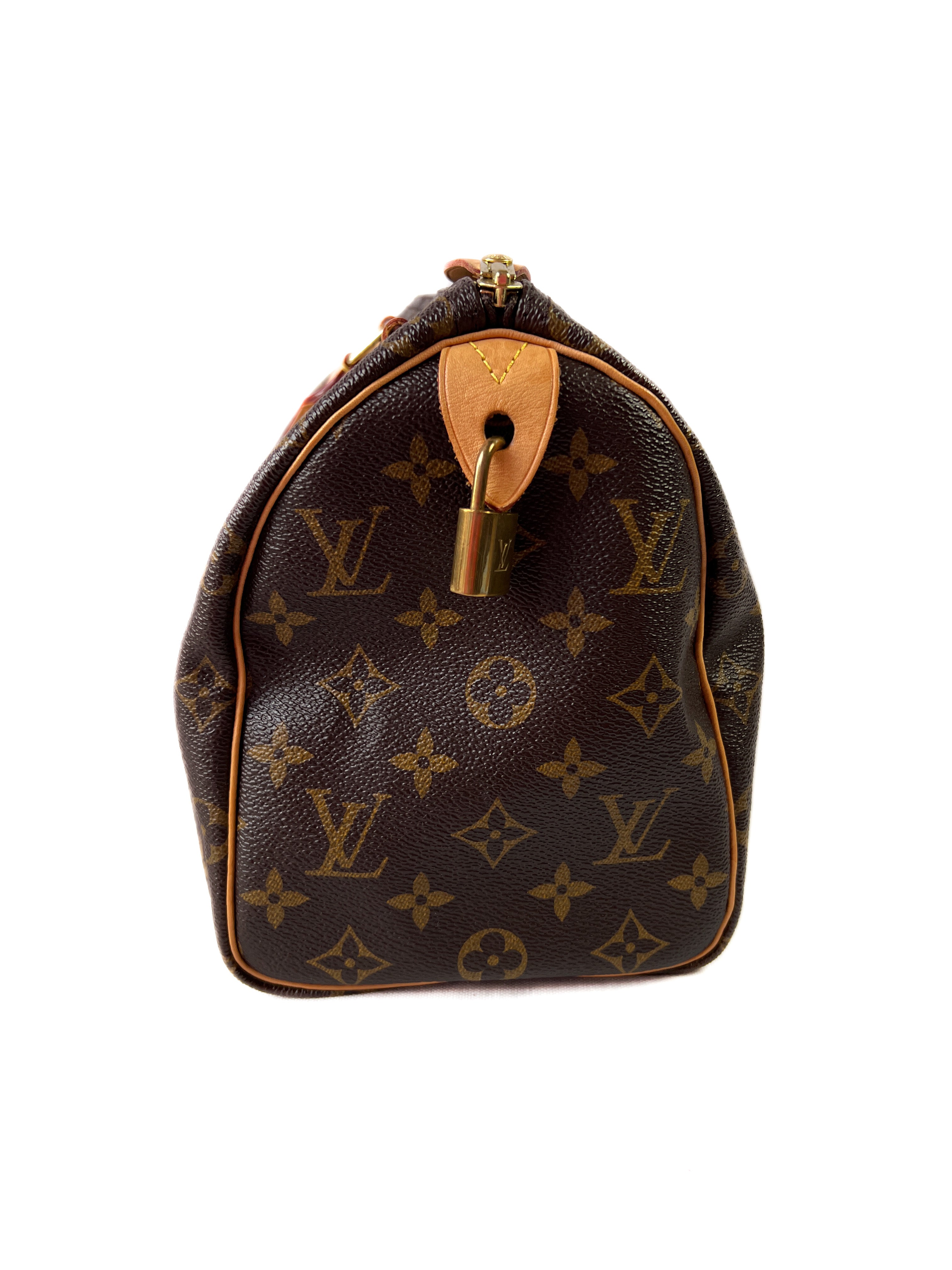 Louis Vuitton monogram speedy 25 2017