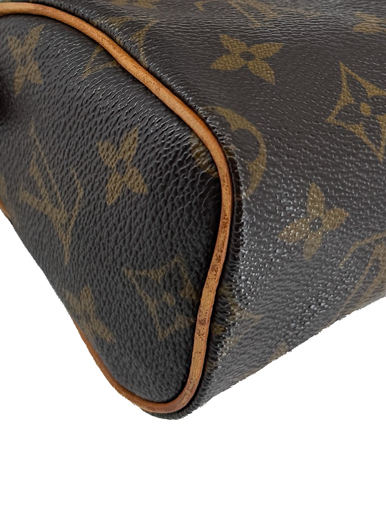 Louis Vuitton monogram mini Speedy TH0969