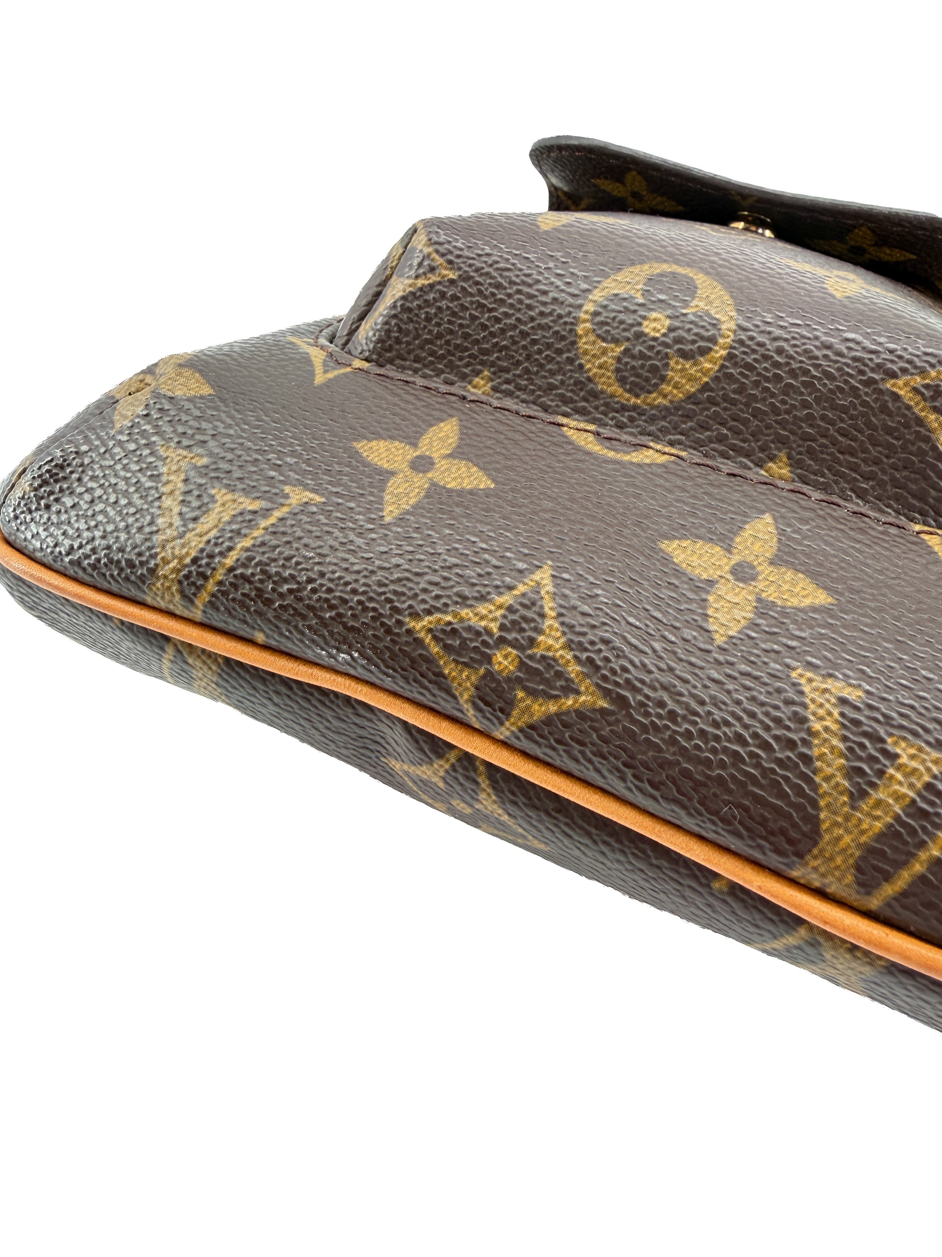 Louis Vuitton monogram Partition wristlet