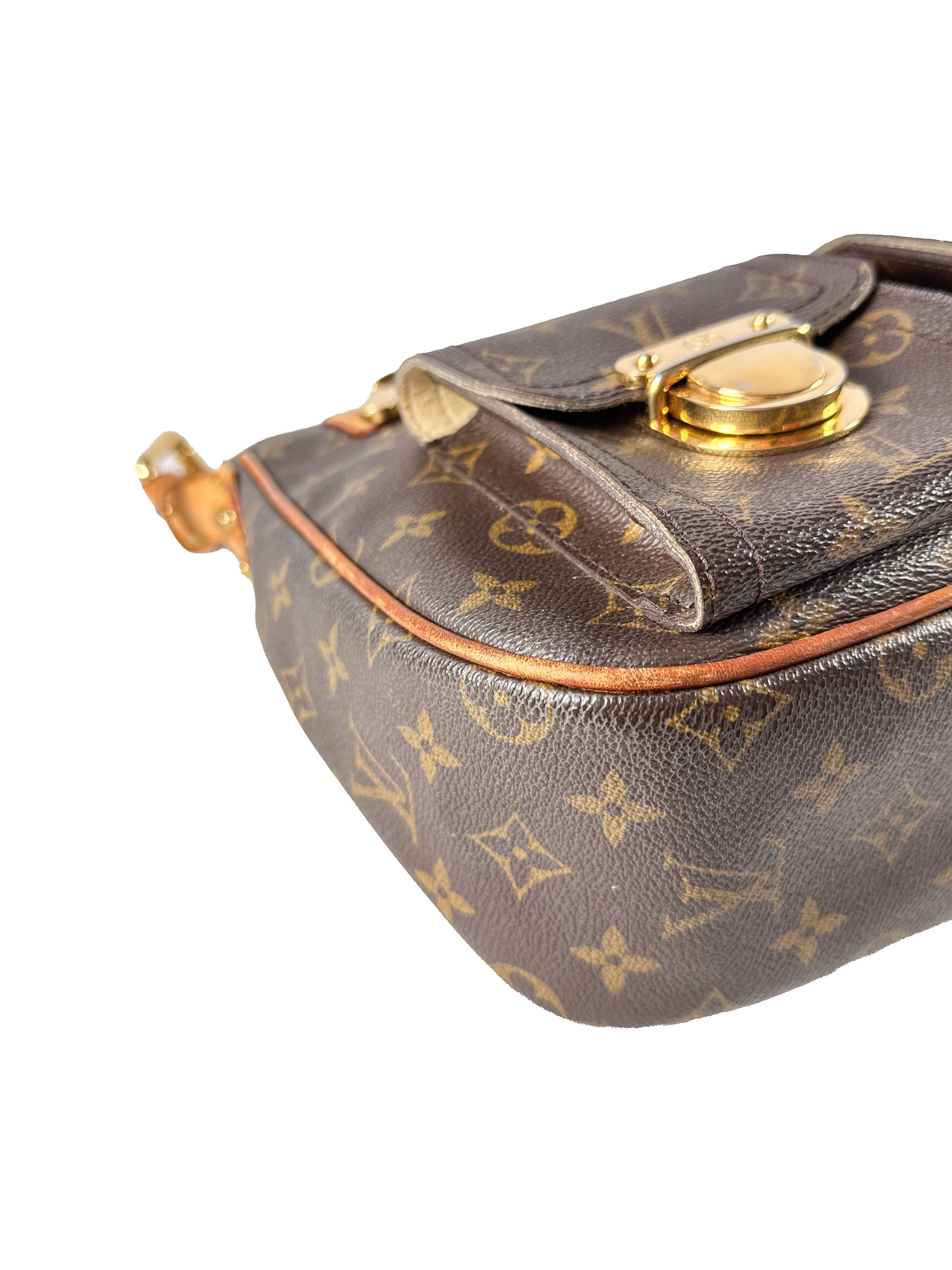 Louis Vuitton monogram Hudson GM VI1037