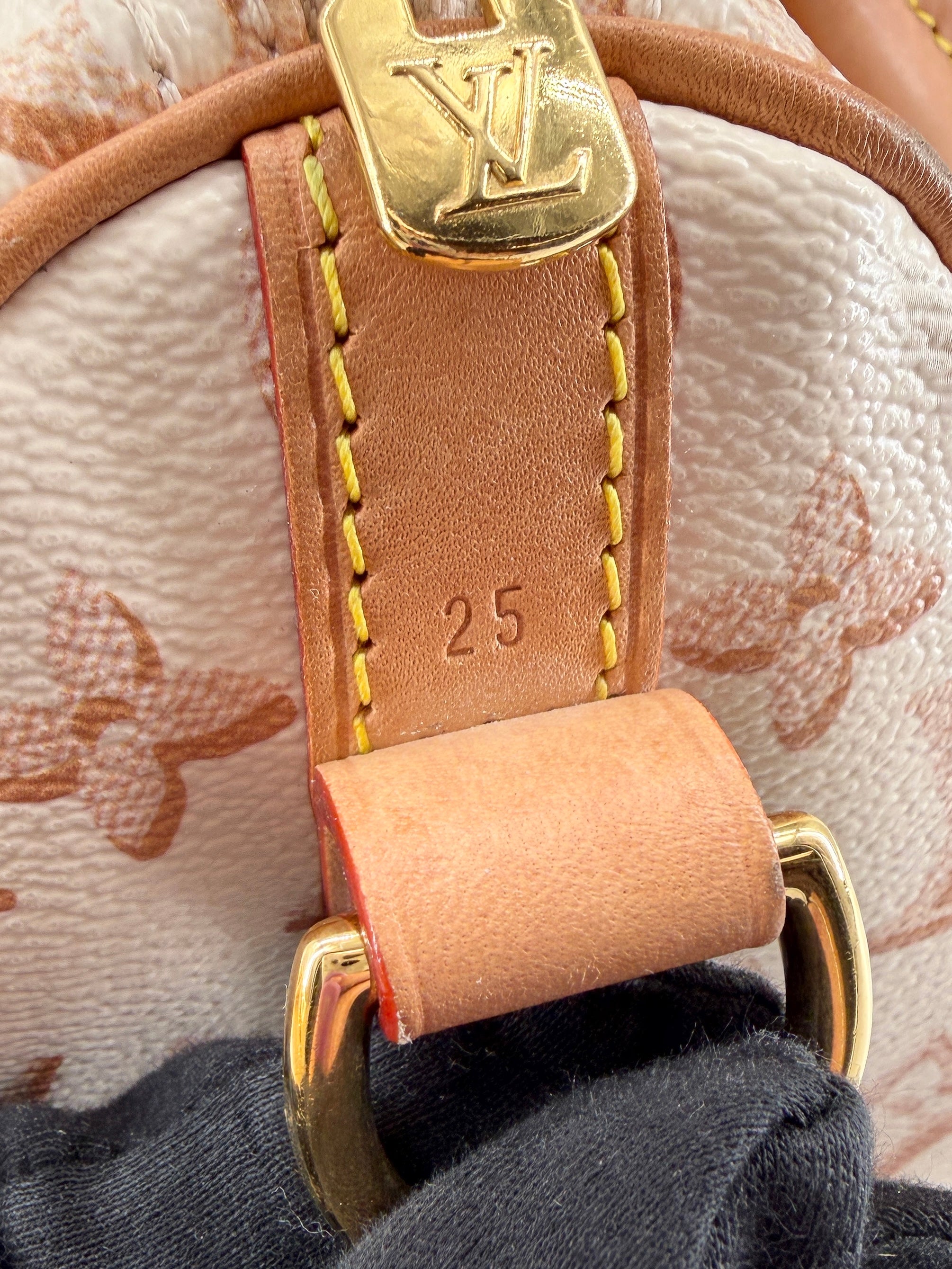 Louis Vuitton monogram Fall for You Speedy 25 Bandouliere Beige NFC