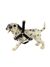 Gucci black leather harness 493949