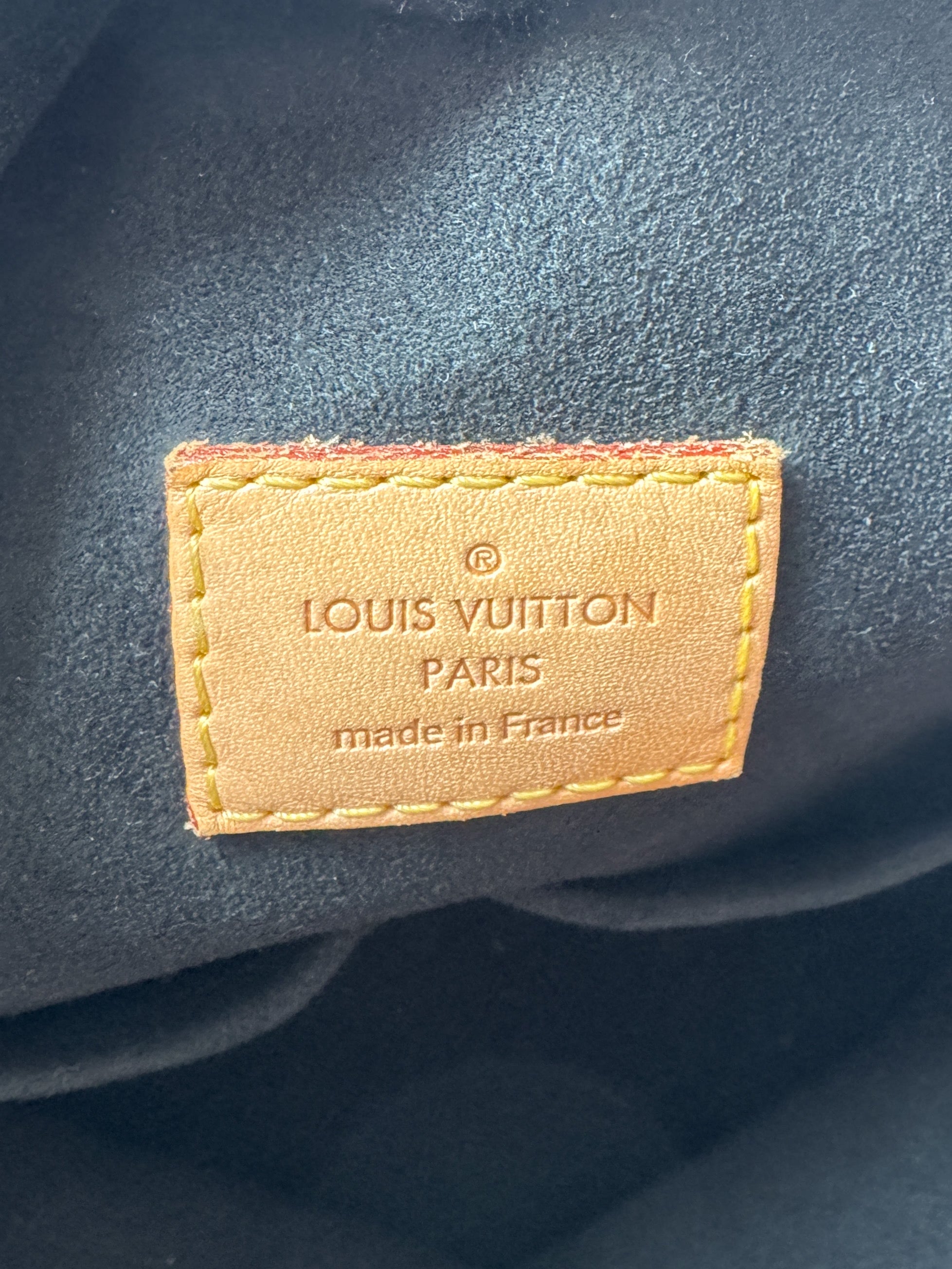 Louis Vuitton monogram Gaia black shoulder bag DR4105