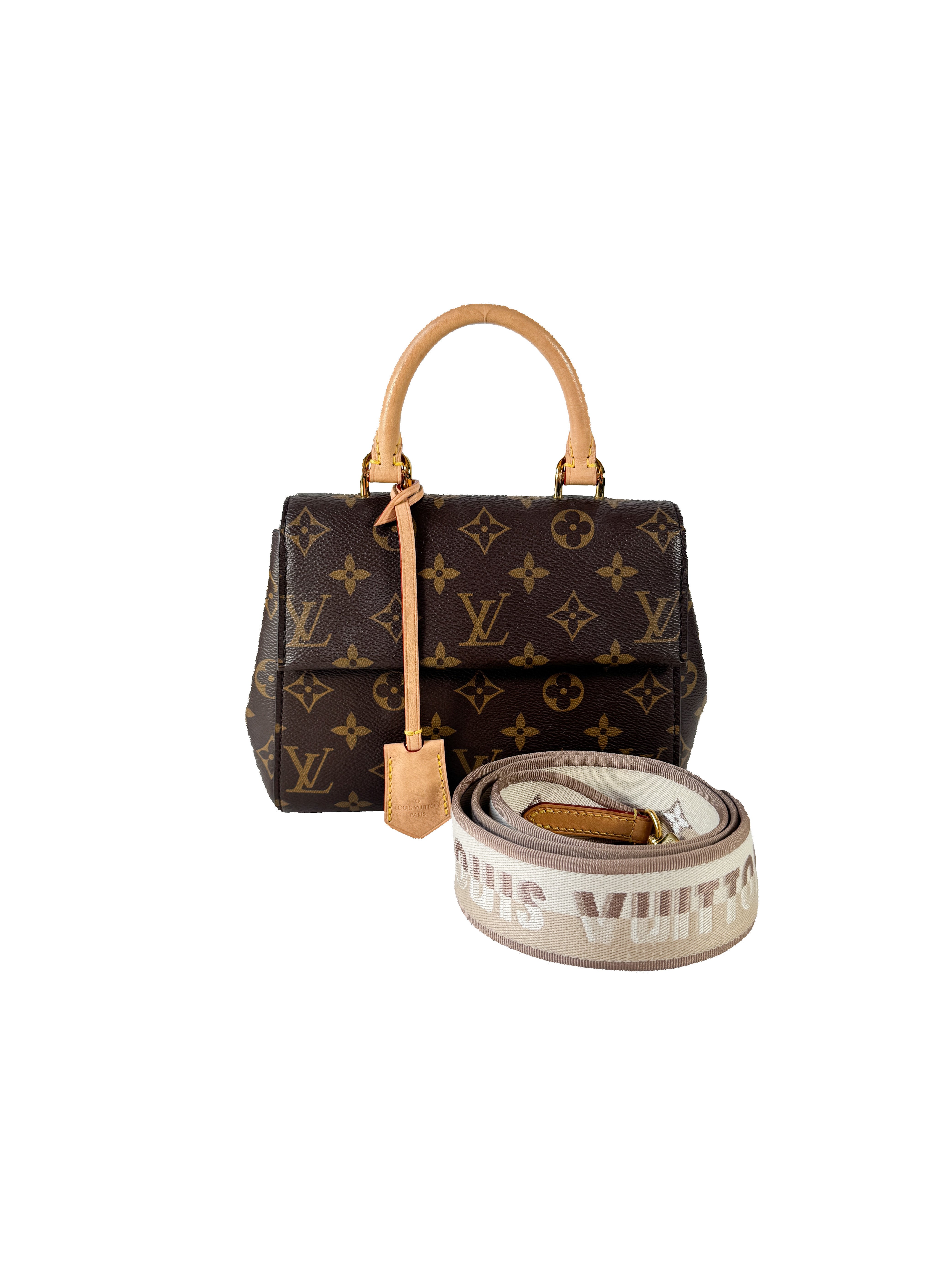 Louis Vuitton monogram Cluny Mini NFC