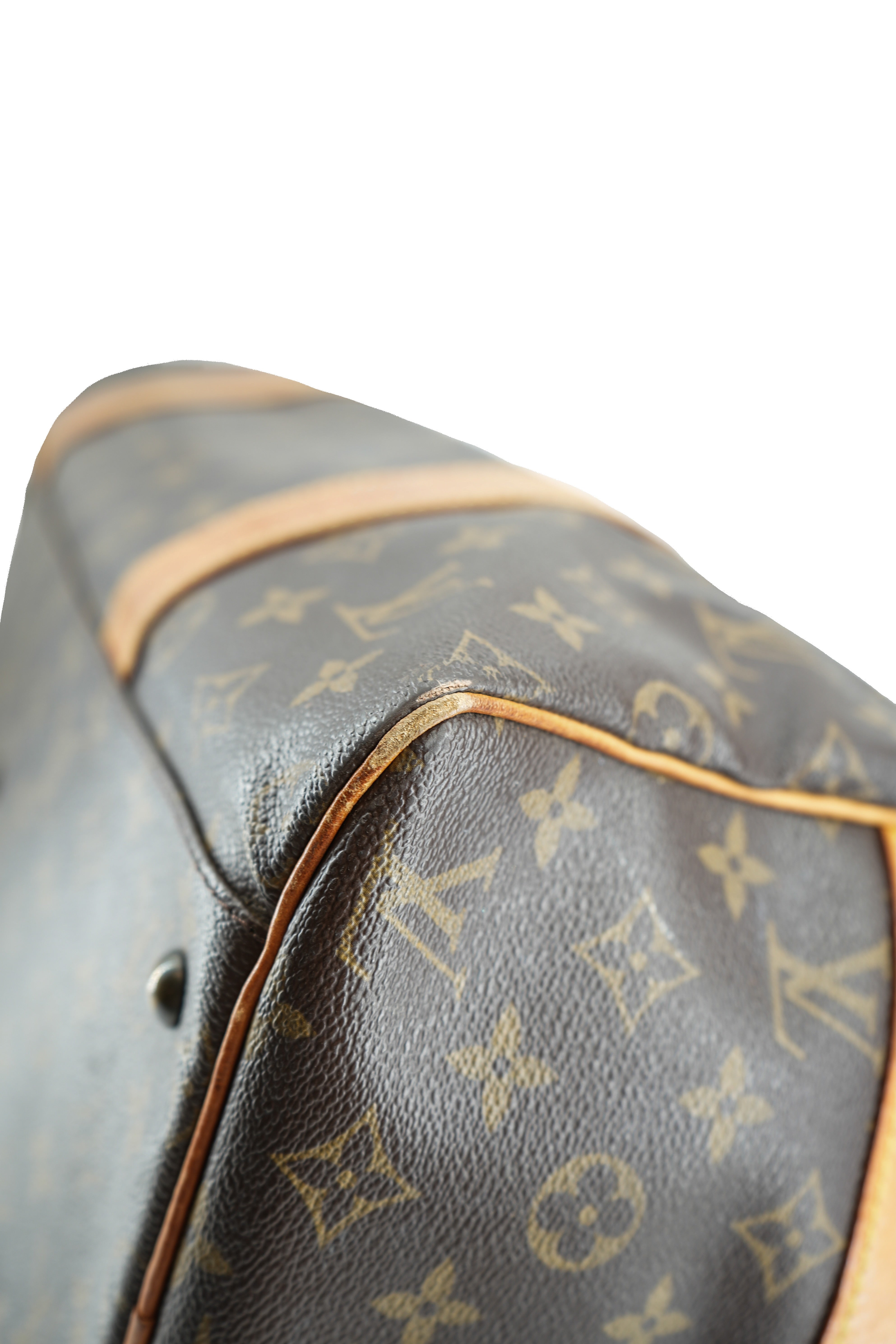 Louis Vuitton monogram Caryall TH0068