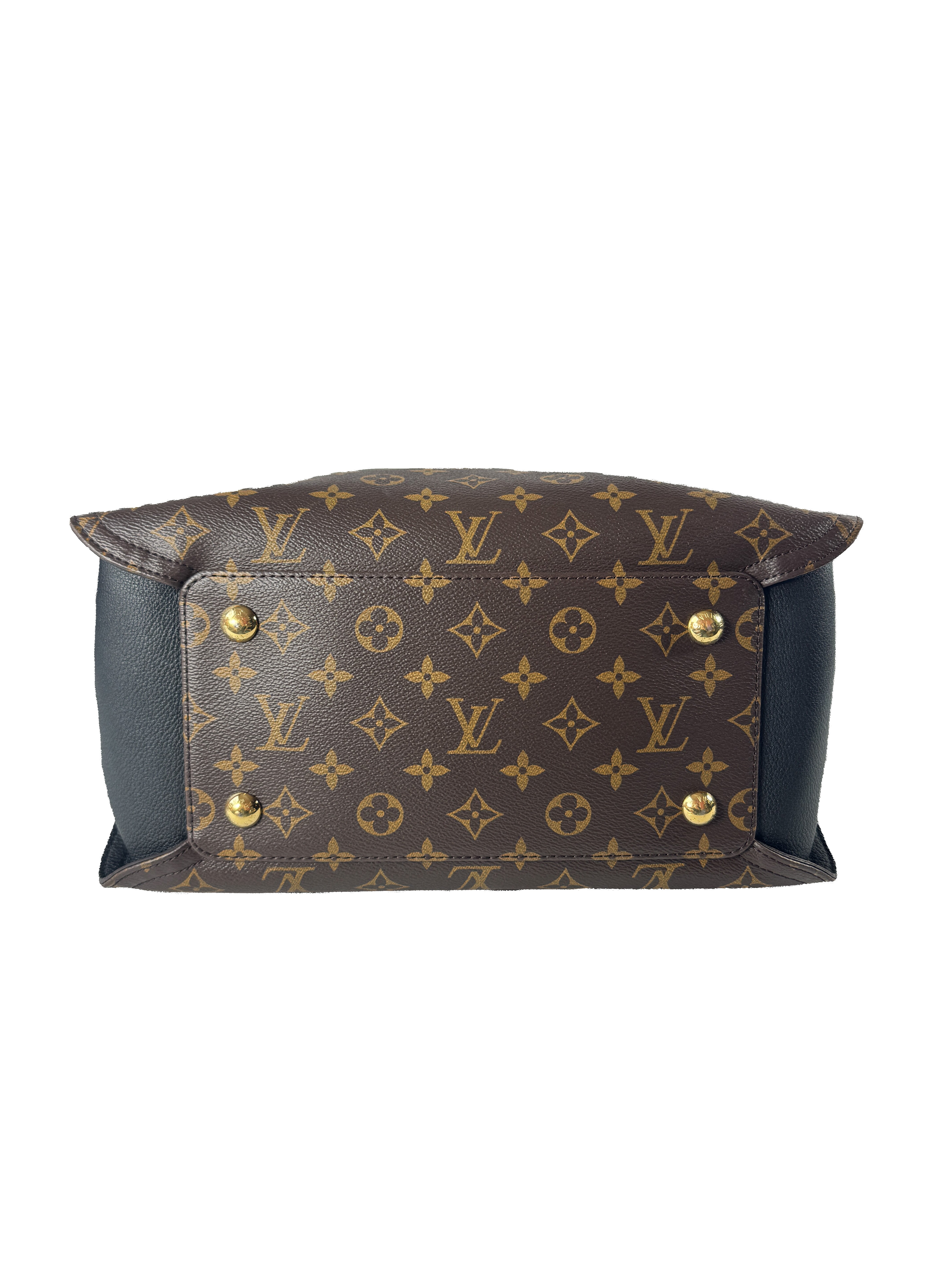 Louis Vuitton monogram Gaia black shoulder bag DR4105