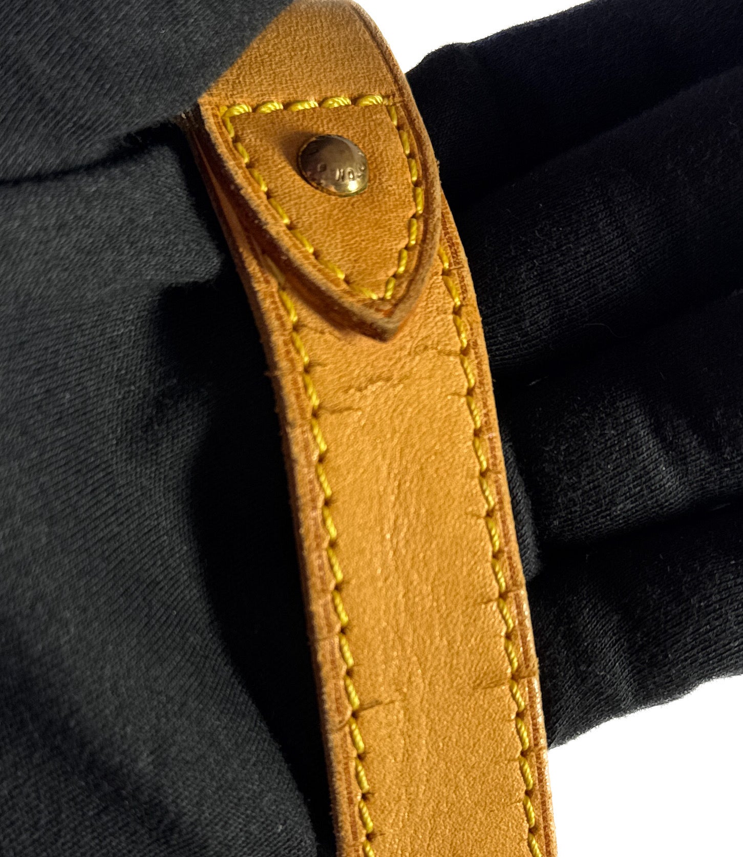 Louis Vuitton monogram Tulum PM shoulder bag CA0017