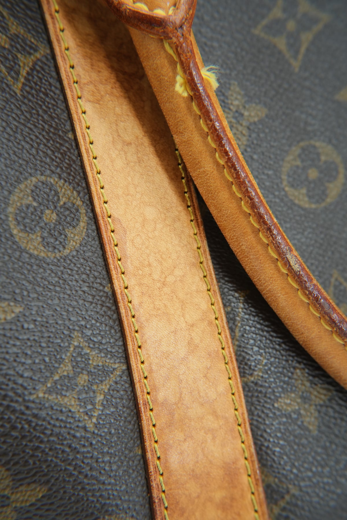 Louis Vuitton monogram Carryall TH1007