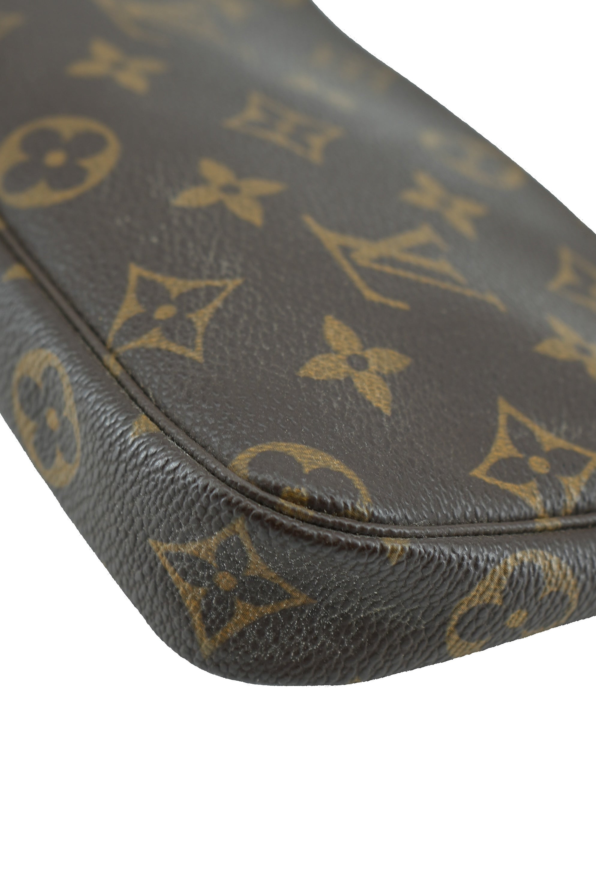 Louis Vuitton monogram Pochette Accessoires Mini FL1013