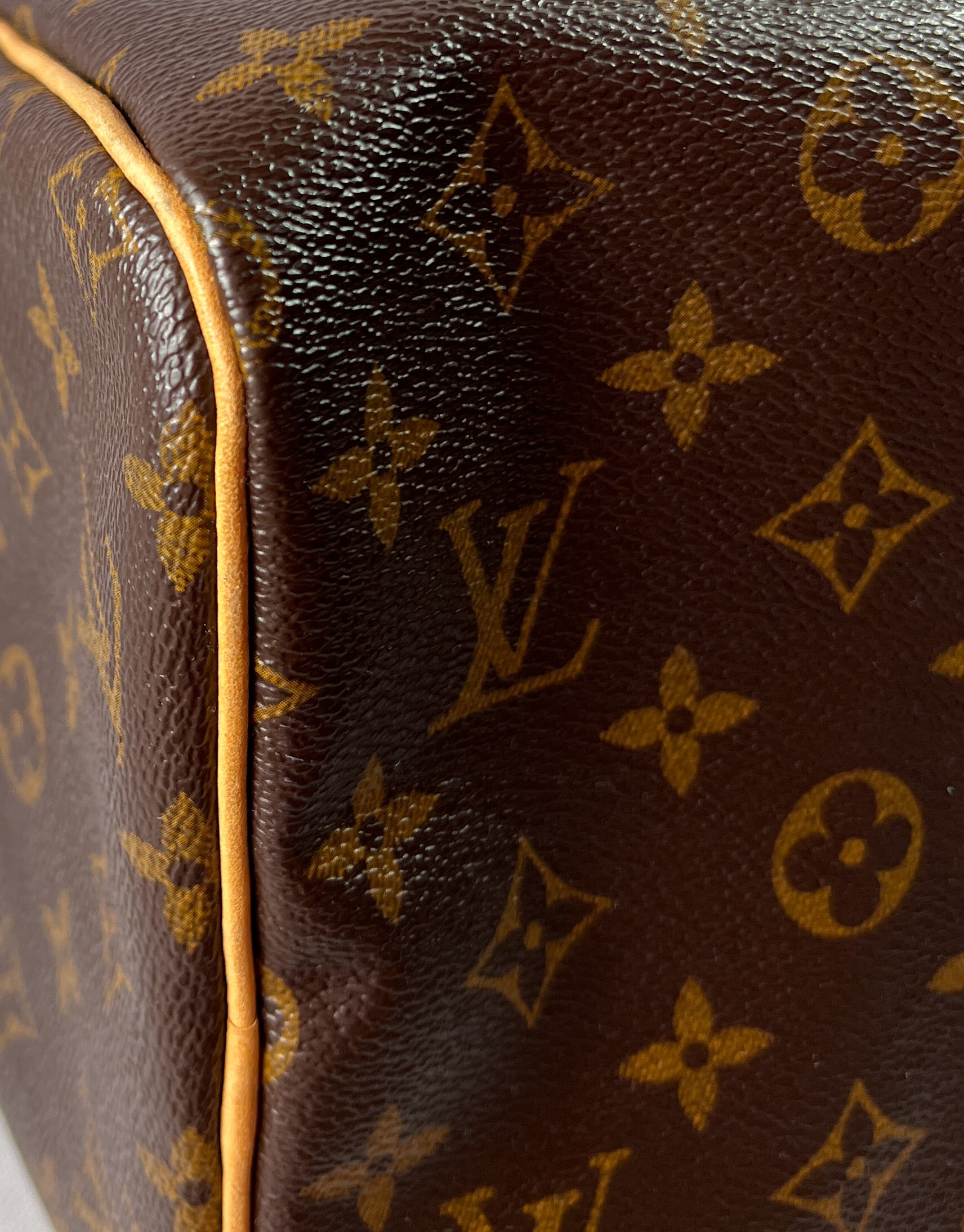 Louis Vuitton monogram speedy 30 2008
