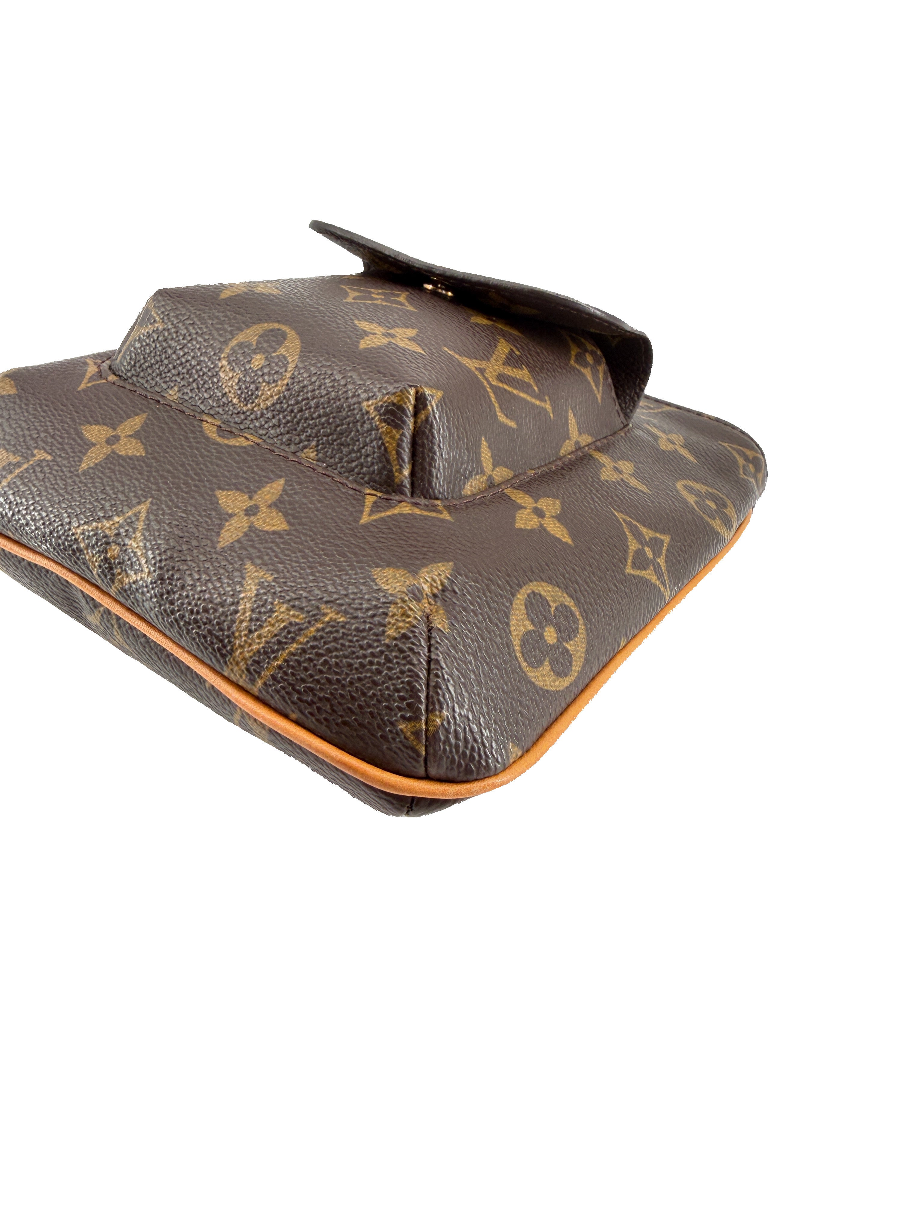 Louis Vuitton monogram Partition wristlet