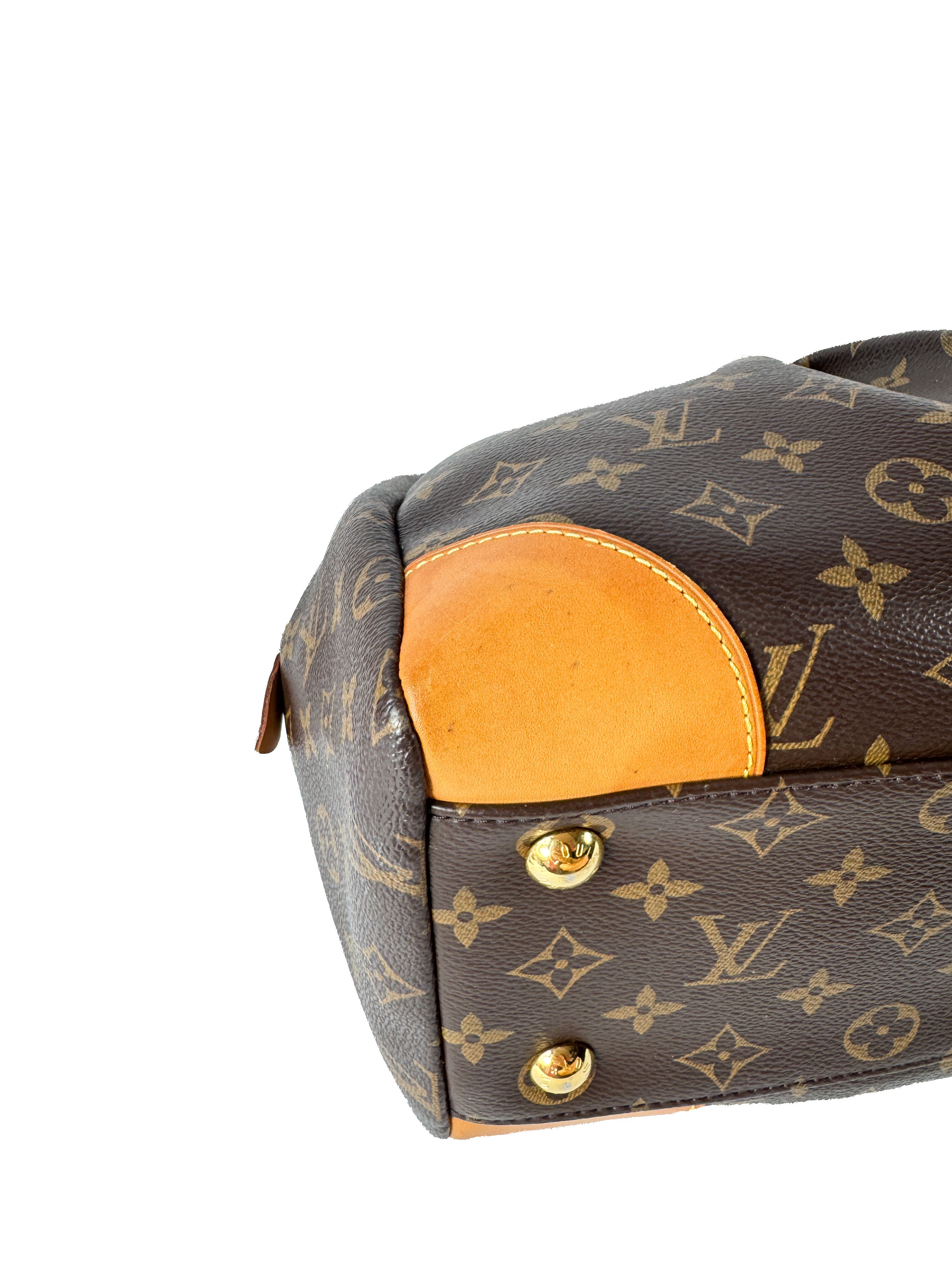 Louis Vuitton monogram Segur bag SP4105