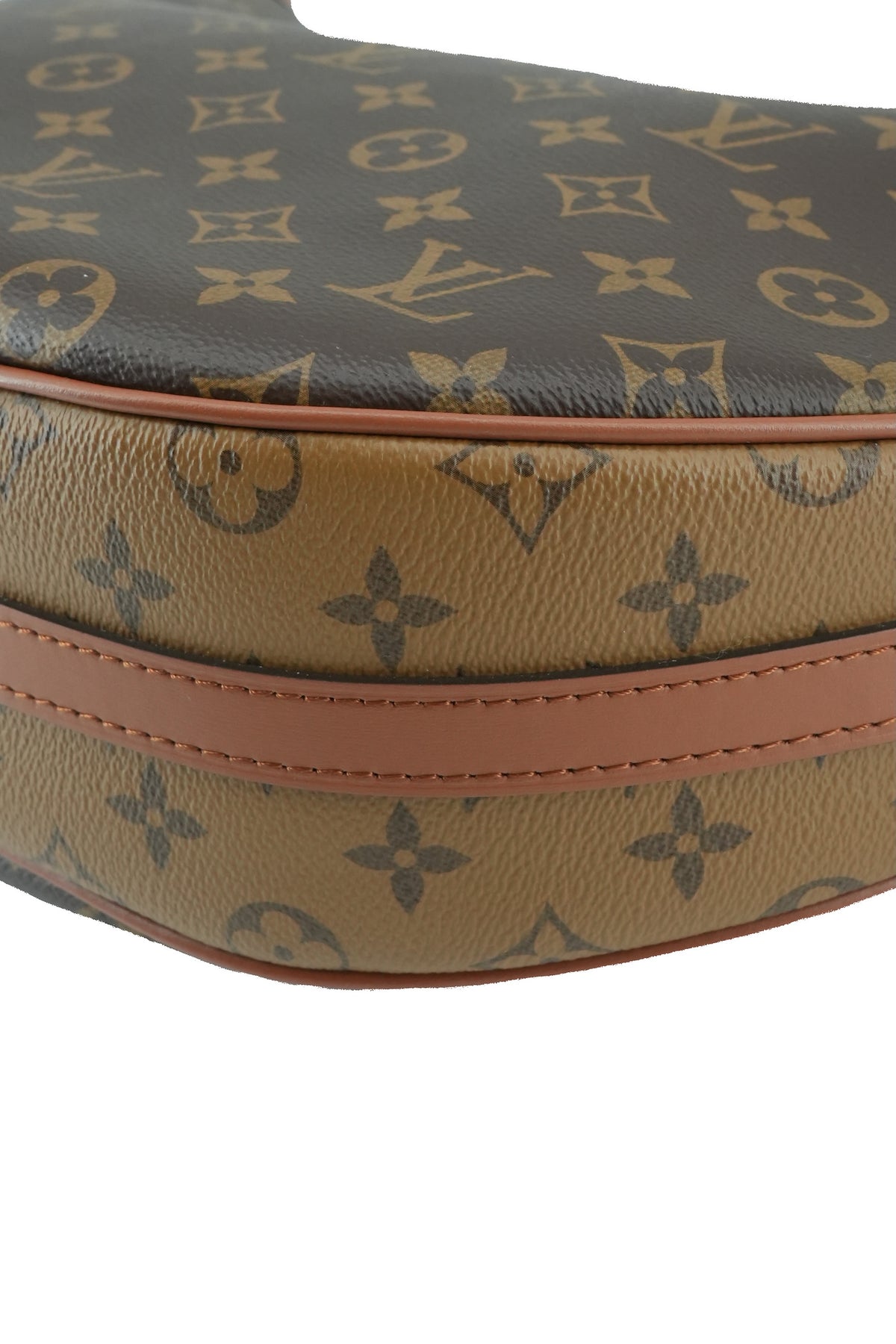 Louis Vuitton monogram Loop hobo NFC