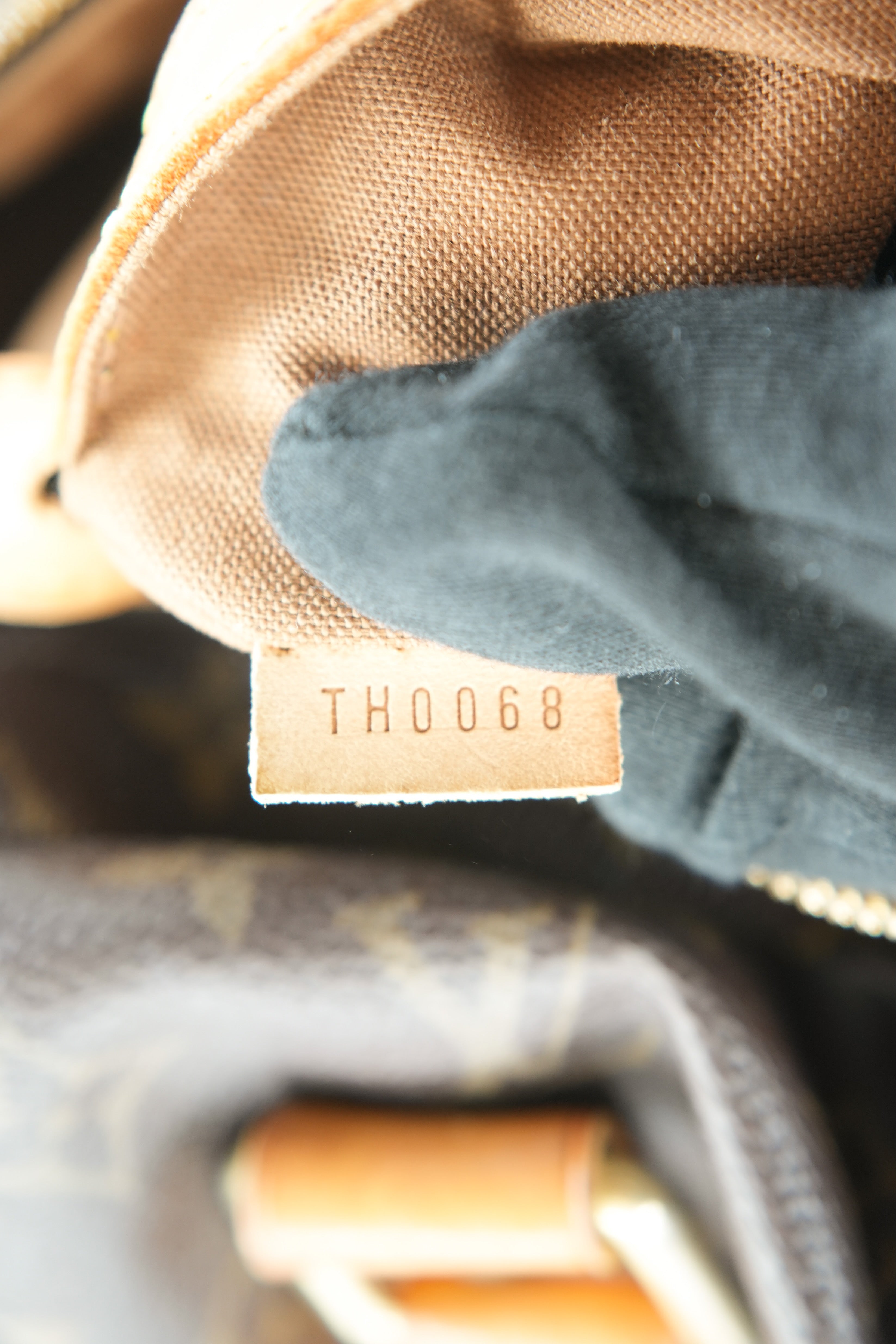 Louis Vuitton monogram Caryall TH0068