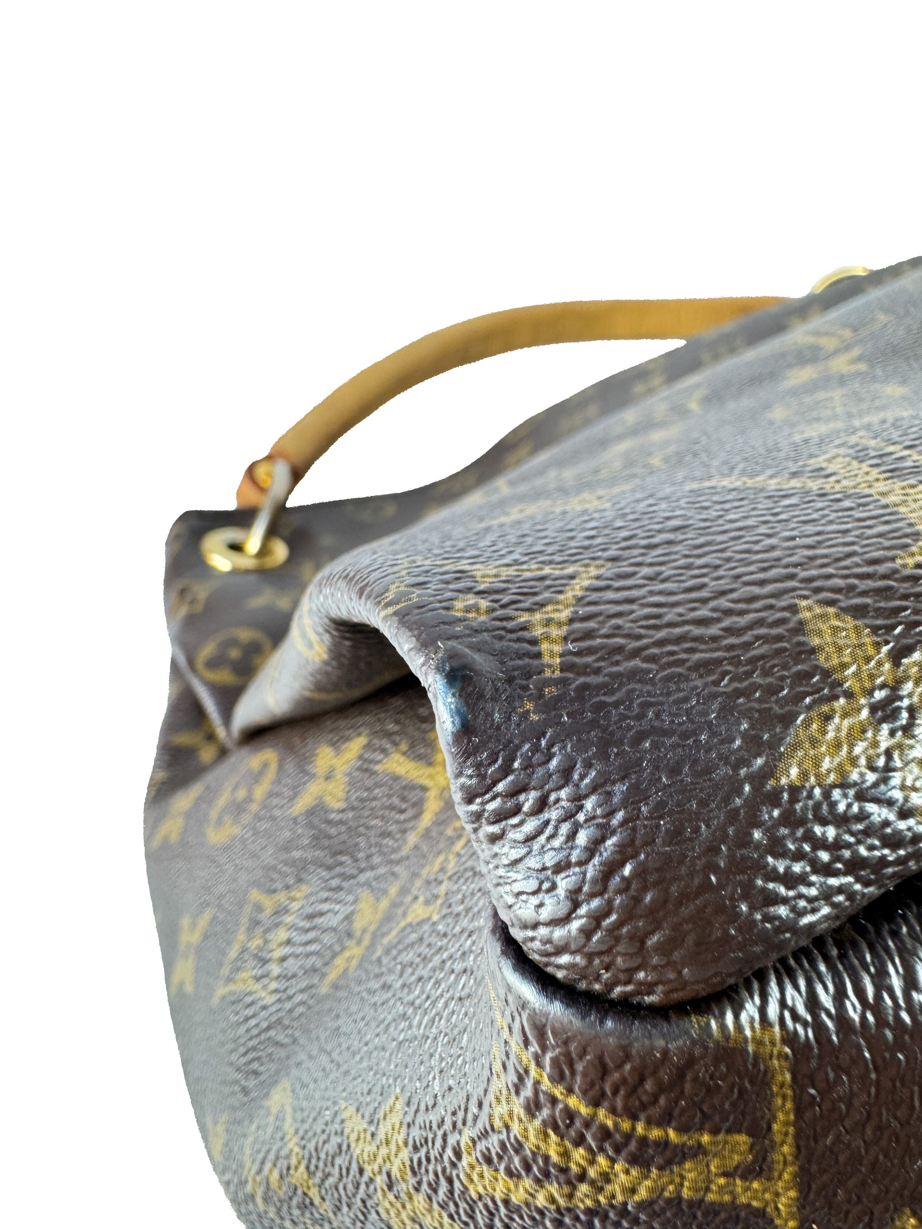 Louis Vuitton monogram Artsy MM CA4069