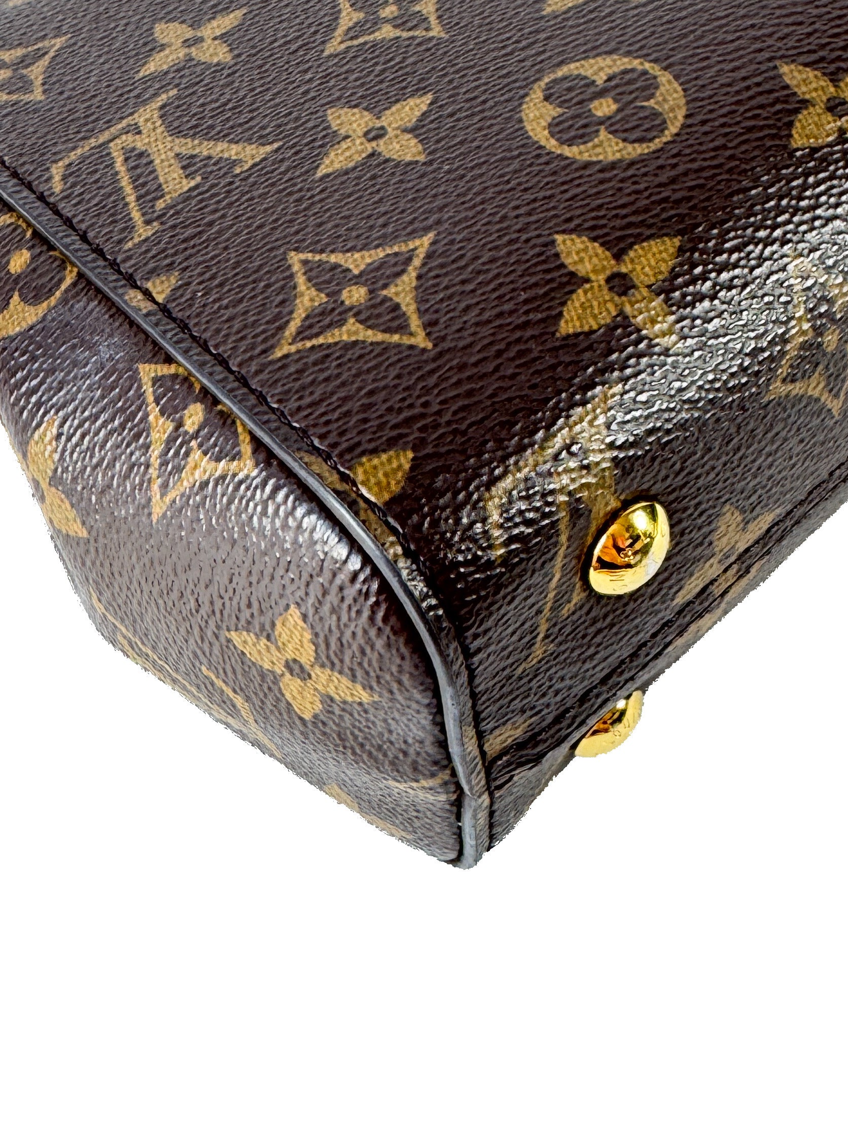 Louis Vuitton monogram Cluny Mini NFC