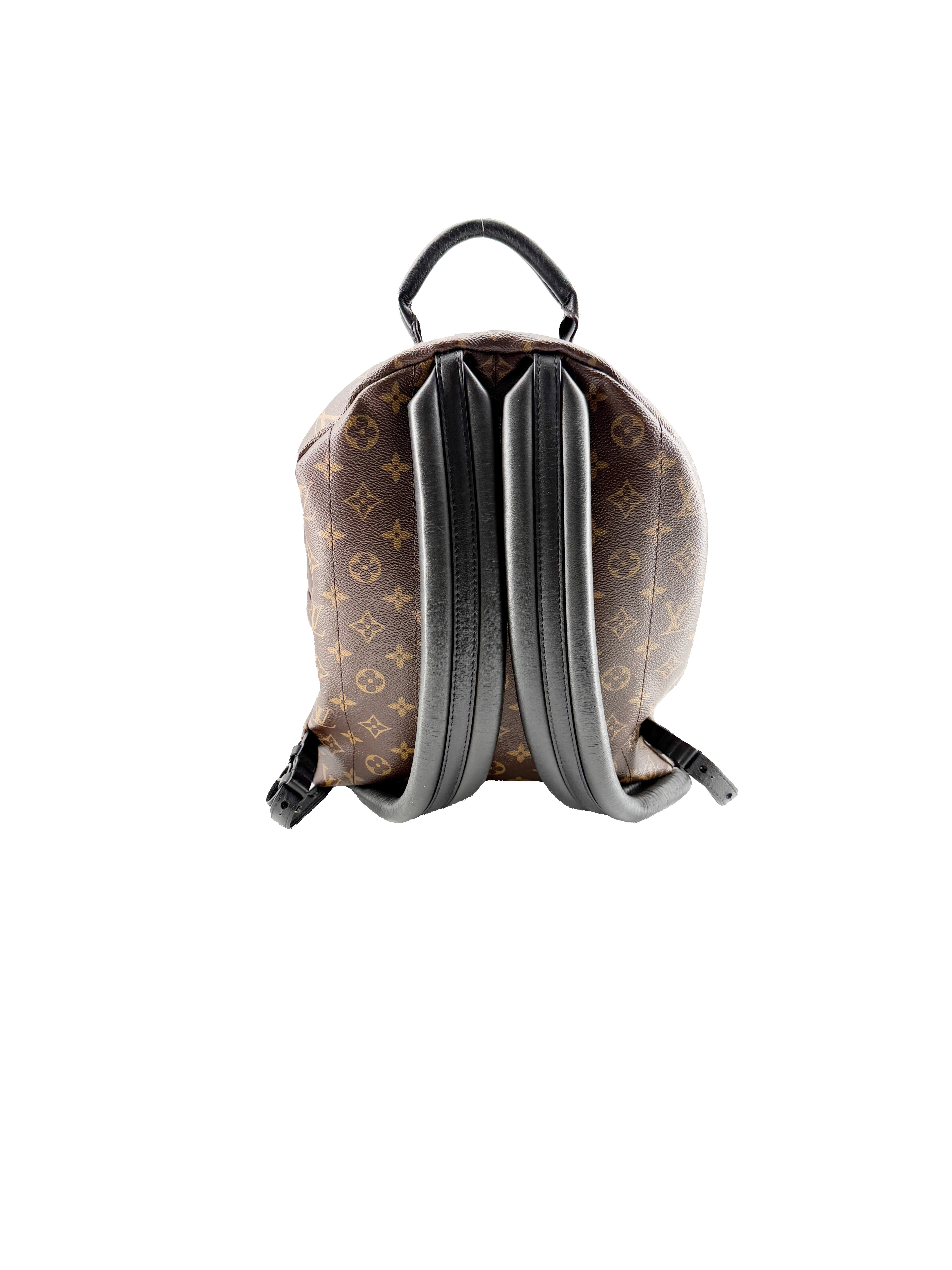 Louis Vuitton monogram Palm Springs MM FL3198