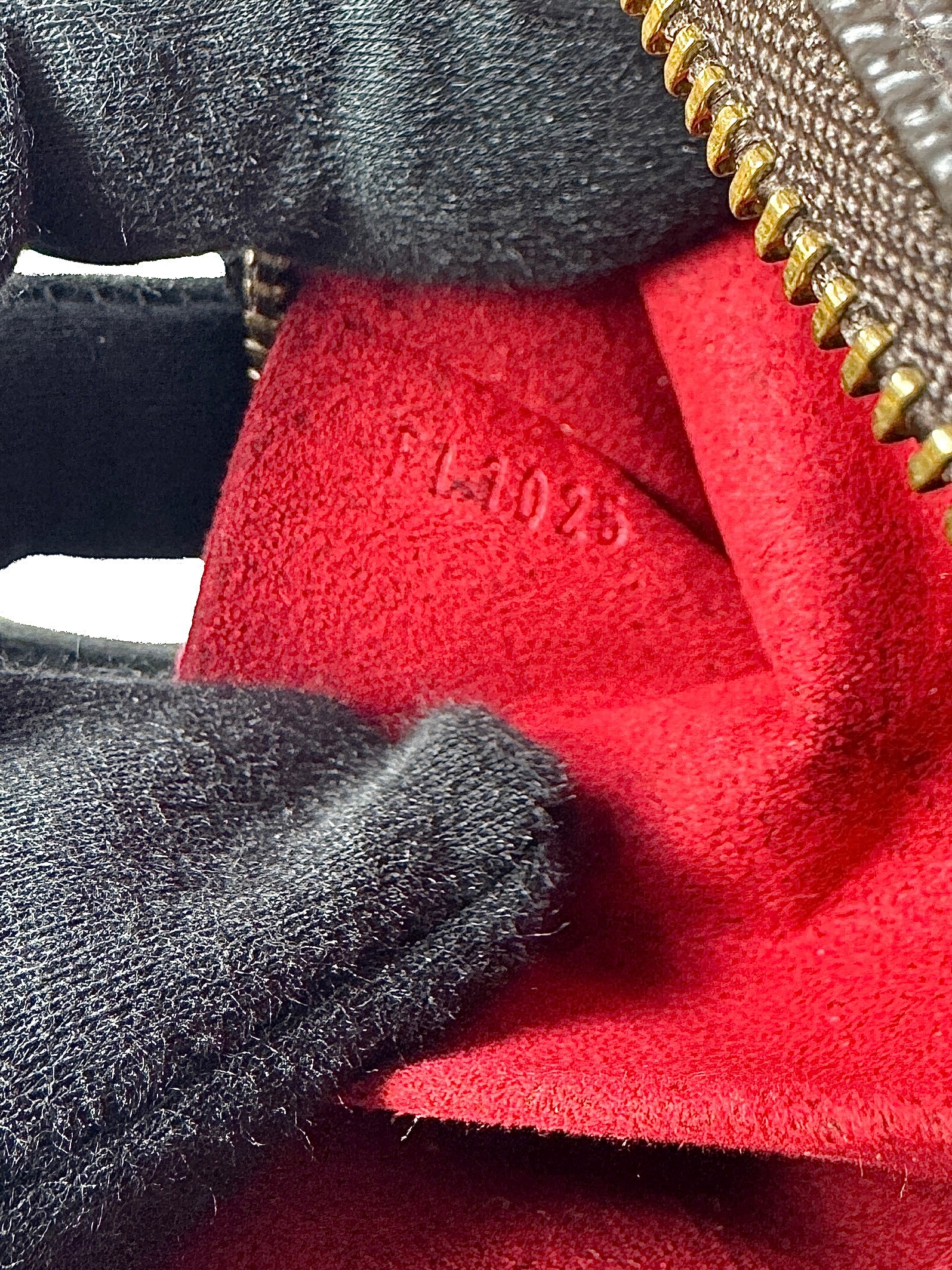 Louis Vuitton monogram Wapity FL1025