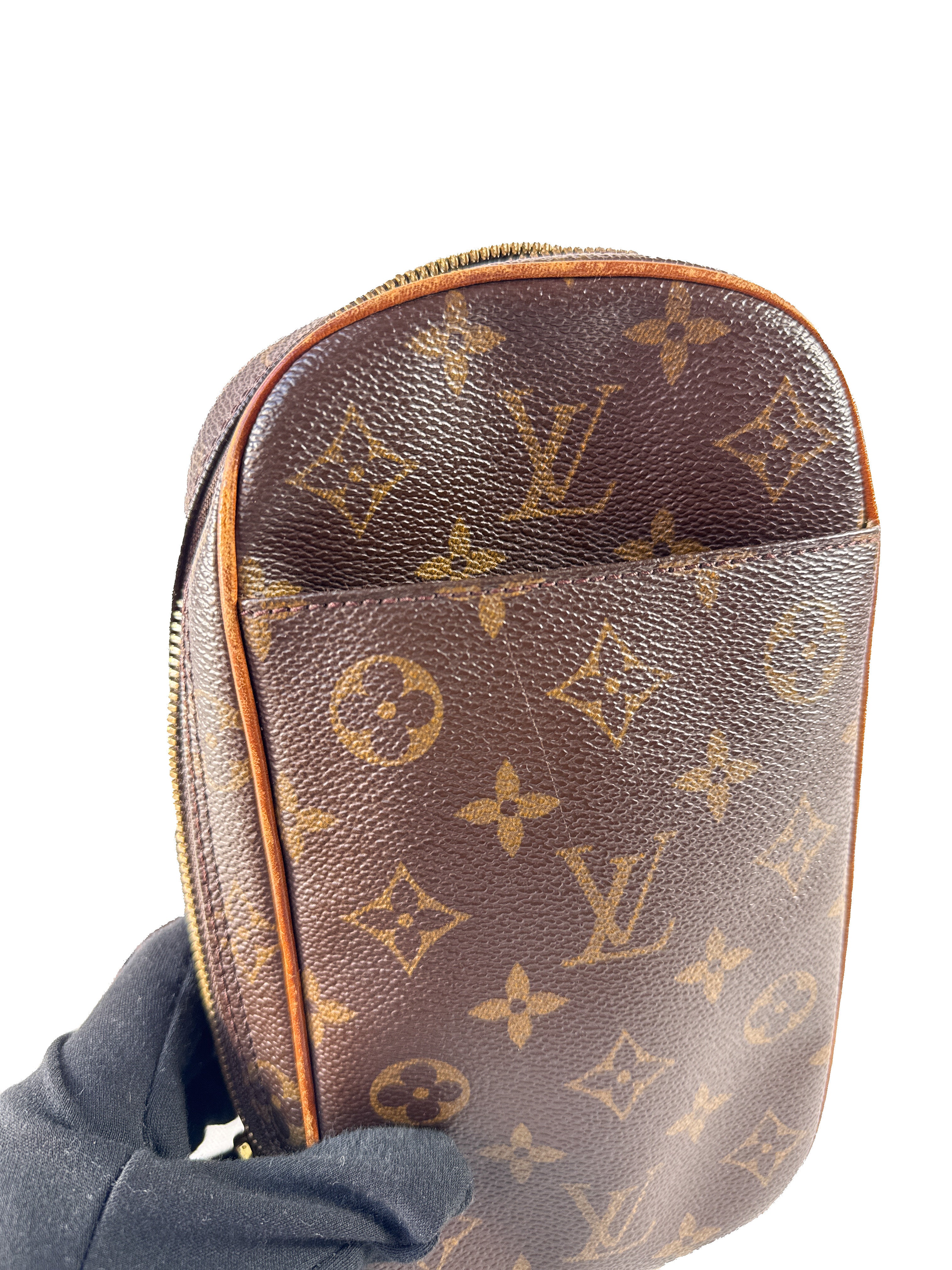 Louis Vuitton monogram pochette gange bum bag CA0071