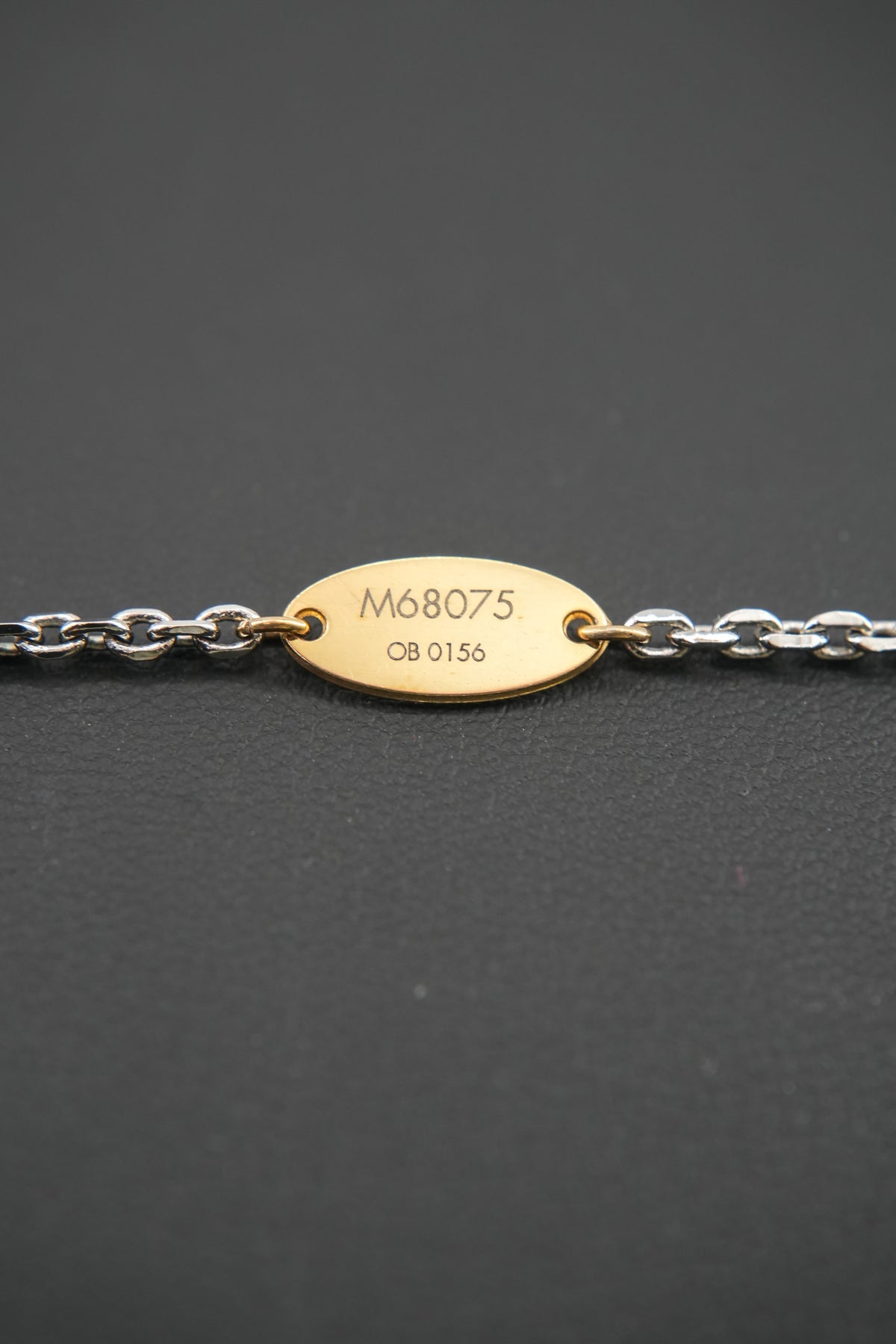 Louis Vuitton two tone logomania Sautoir necklace