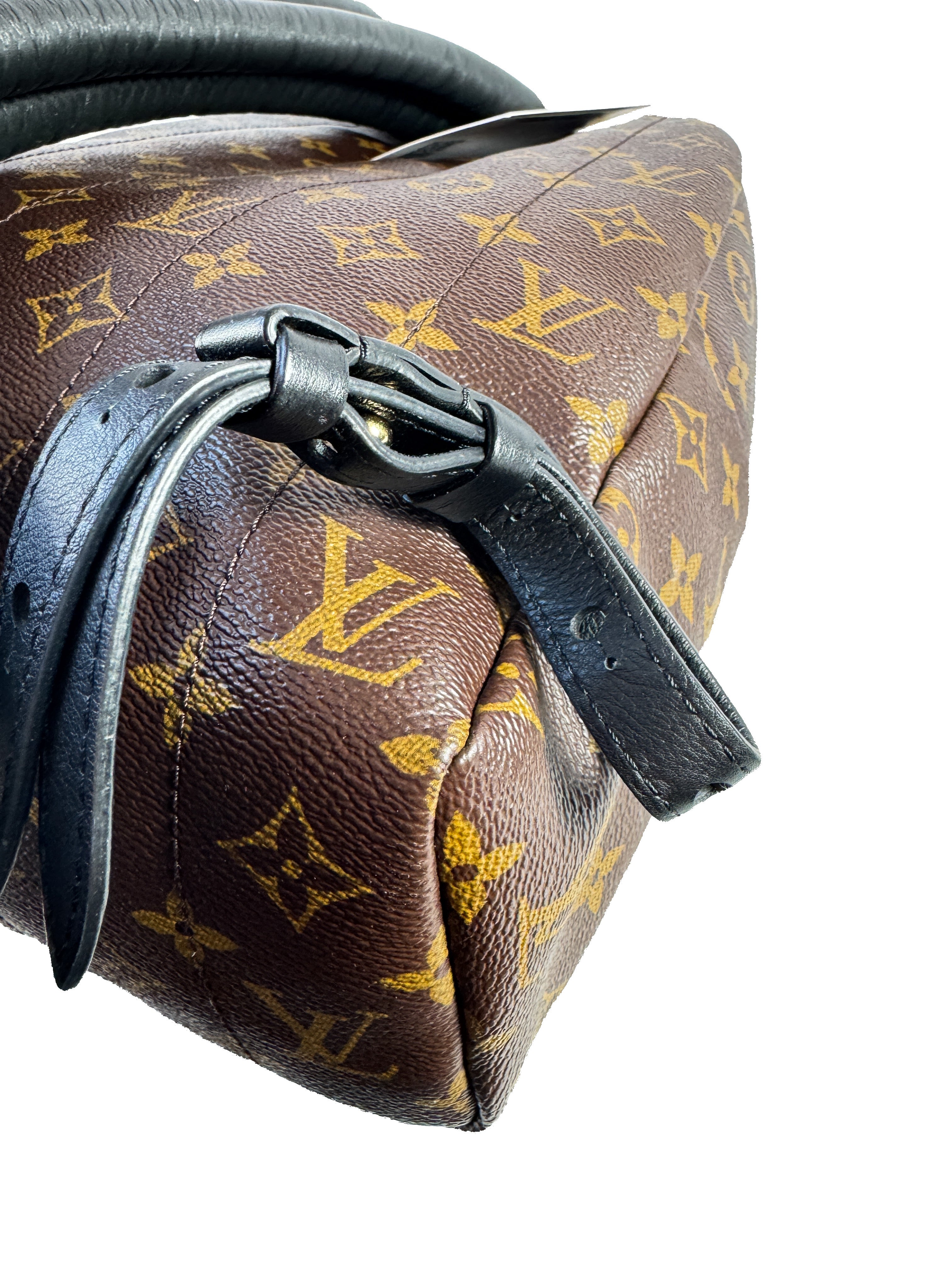 Louis Vuitton Palm Springs Backpack Monogram Canvas MM FL3198