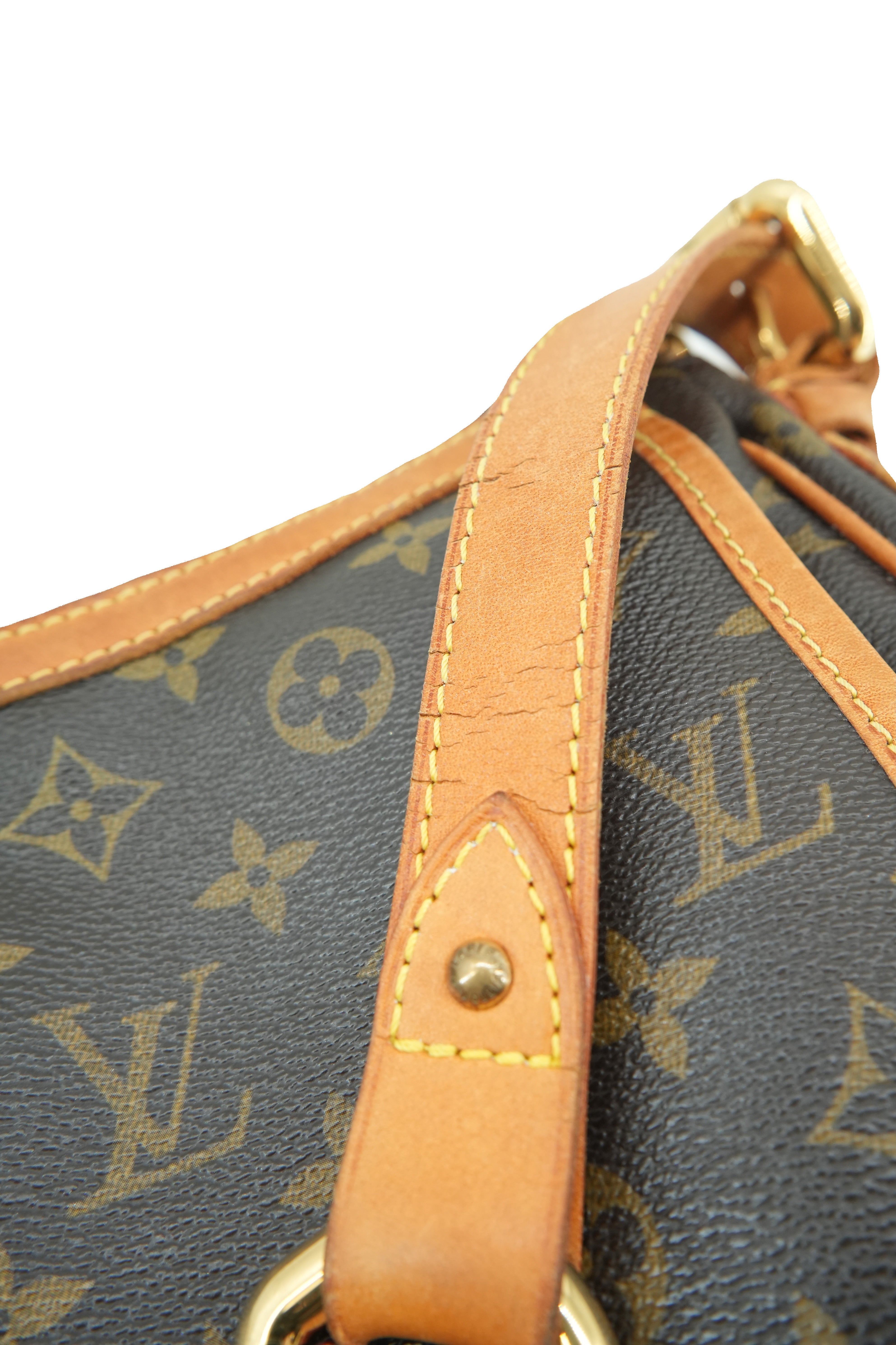 Louis Vuitton monogram Tulum PM shoulder bag CA0017