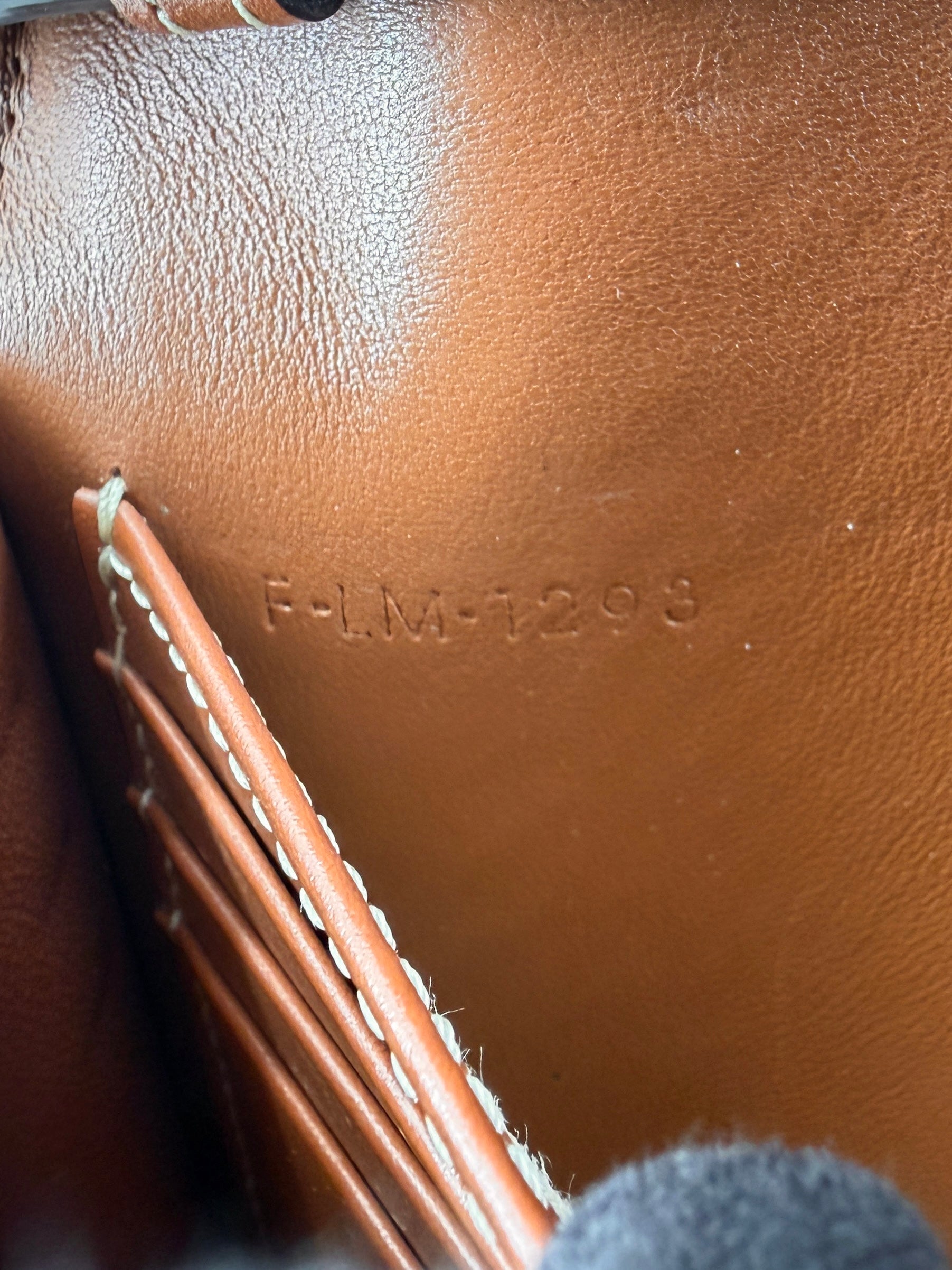 Celine Macadam Triomphe Envelope crossbody F-LM-1293