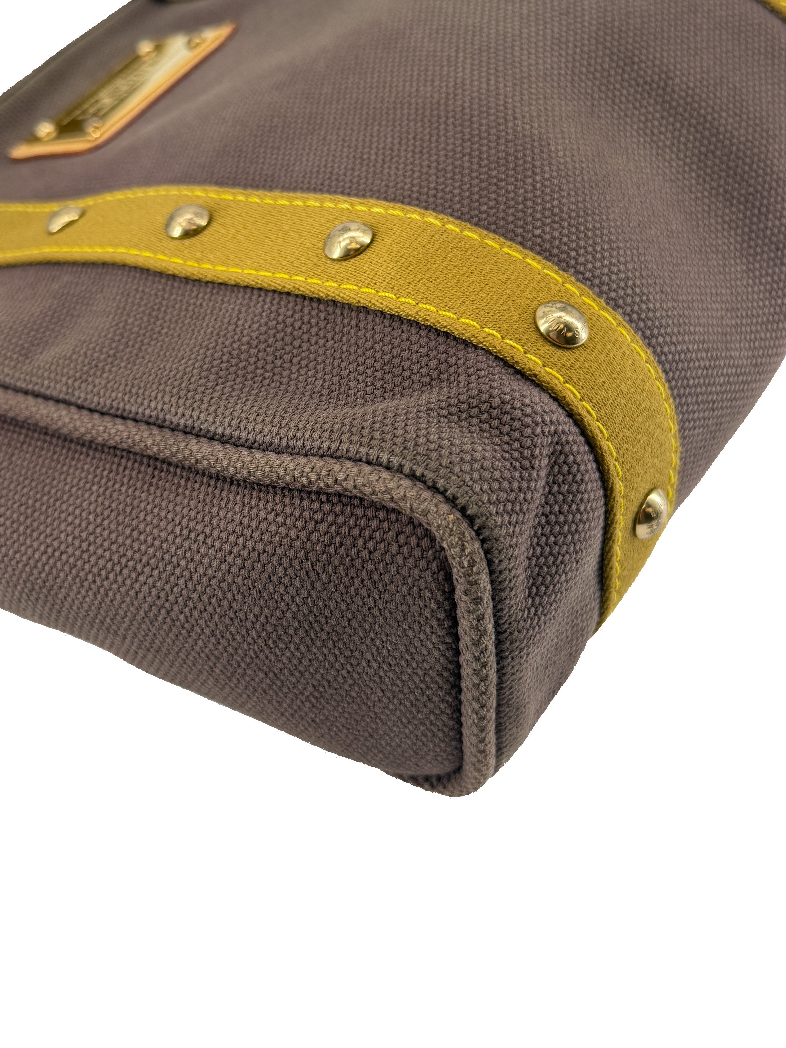 Louis Vuitton brown Cabas Antigua tote MM SP1015