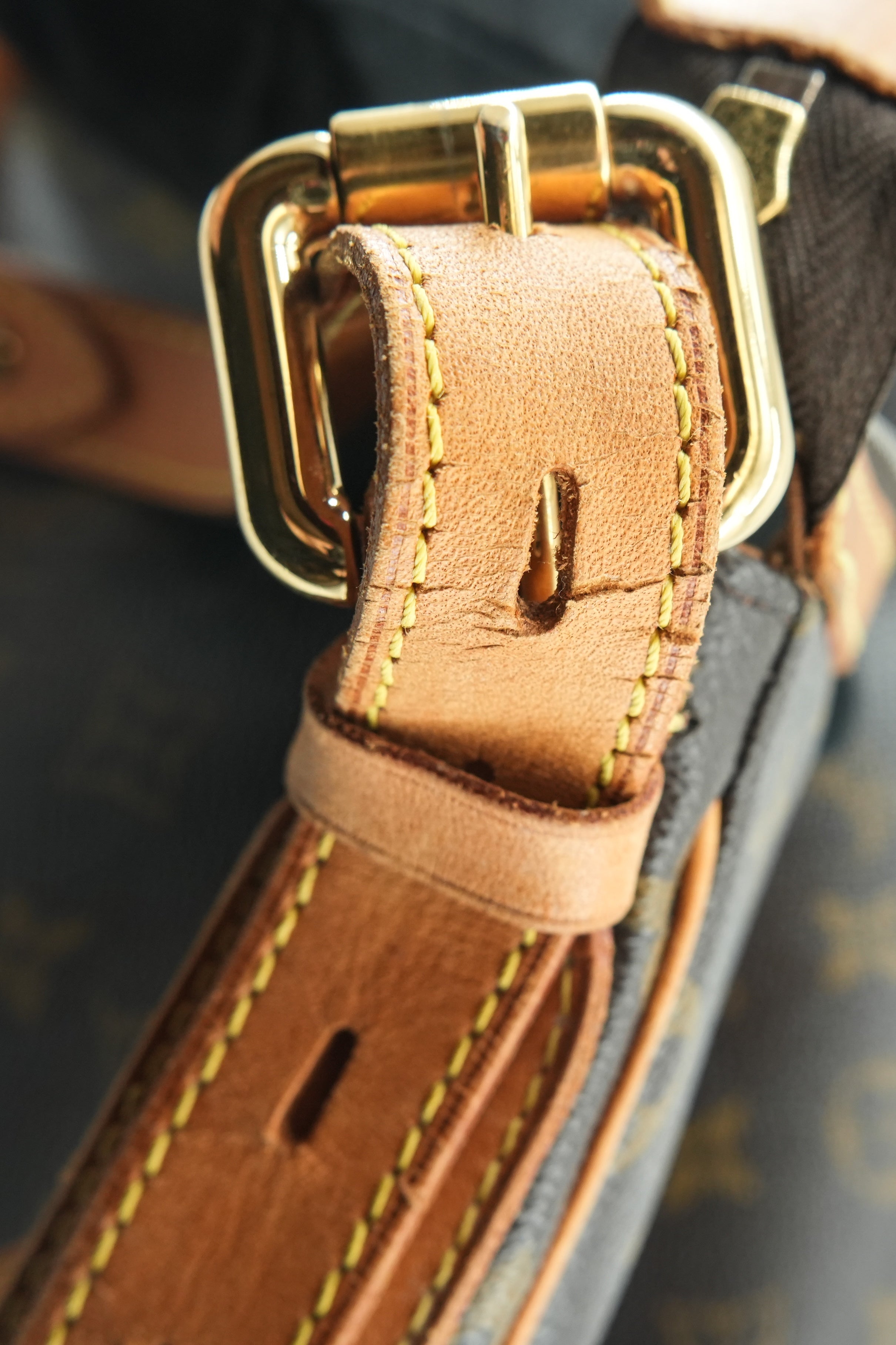 Louis Vuitton monogram Tulum PM shoulder bag CA0017