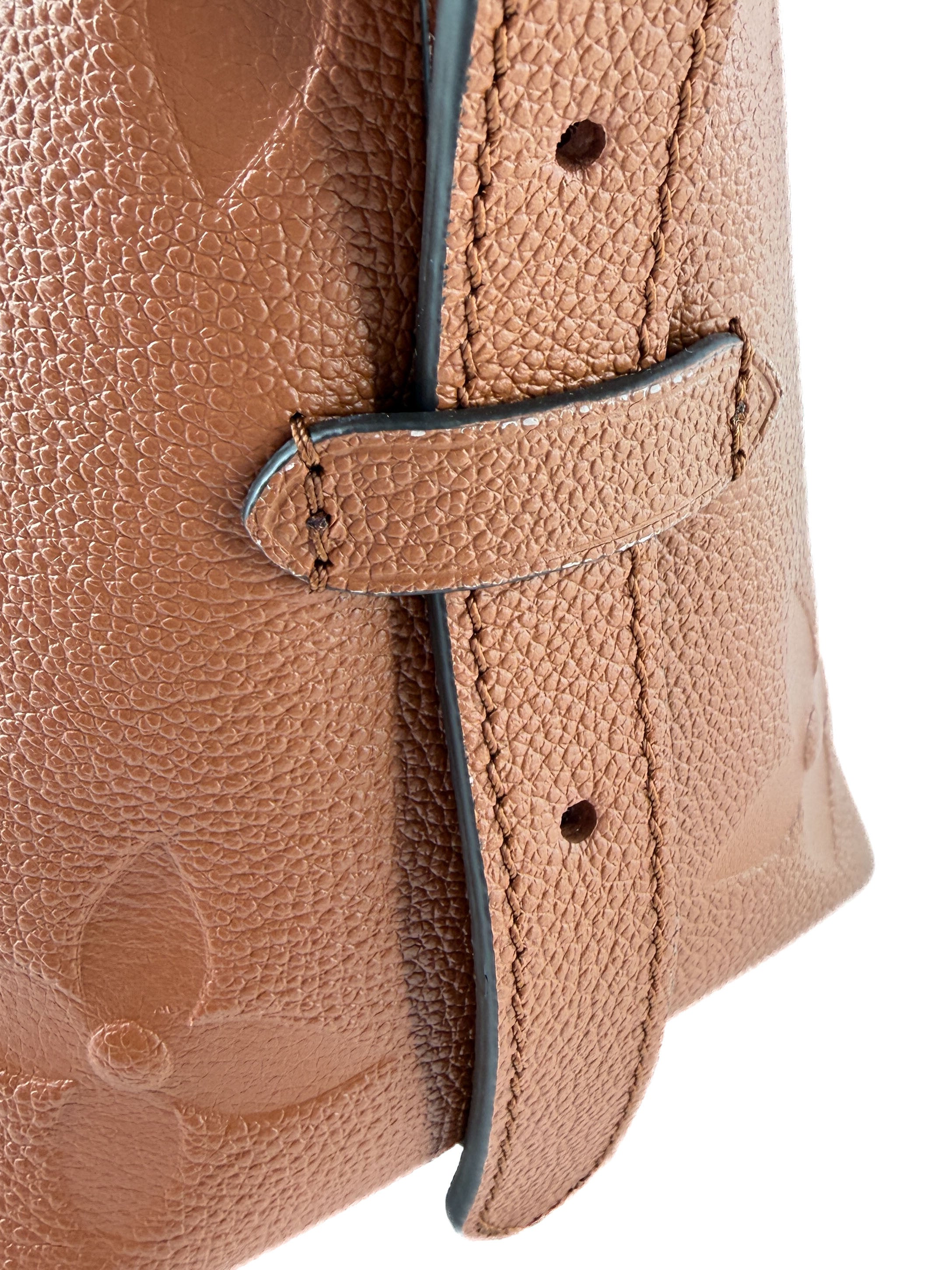 Louis Vuitton monogram empriente CarryAll PM cognac NFC