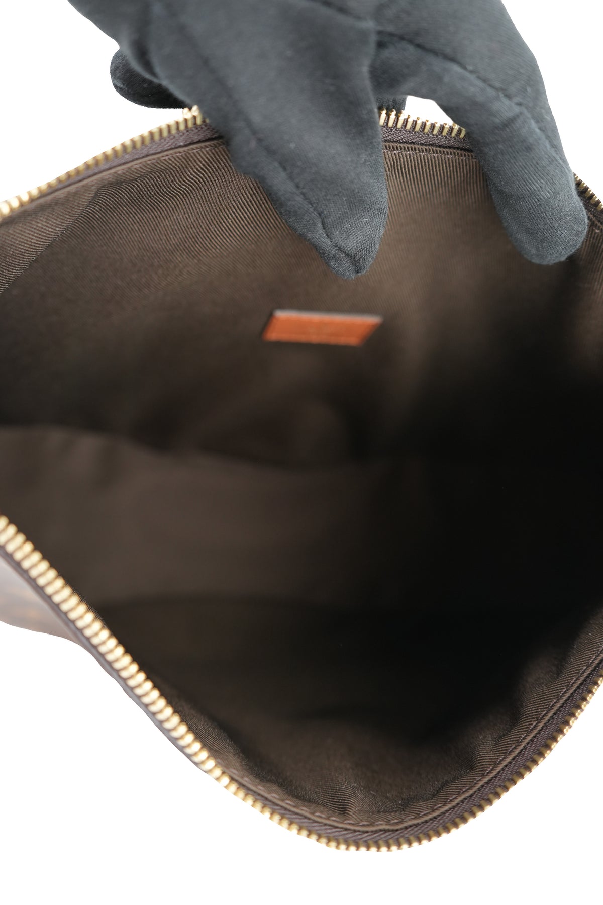 Louis Vuitton monogram Loop hobo NFC