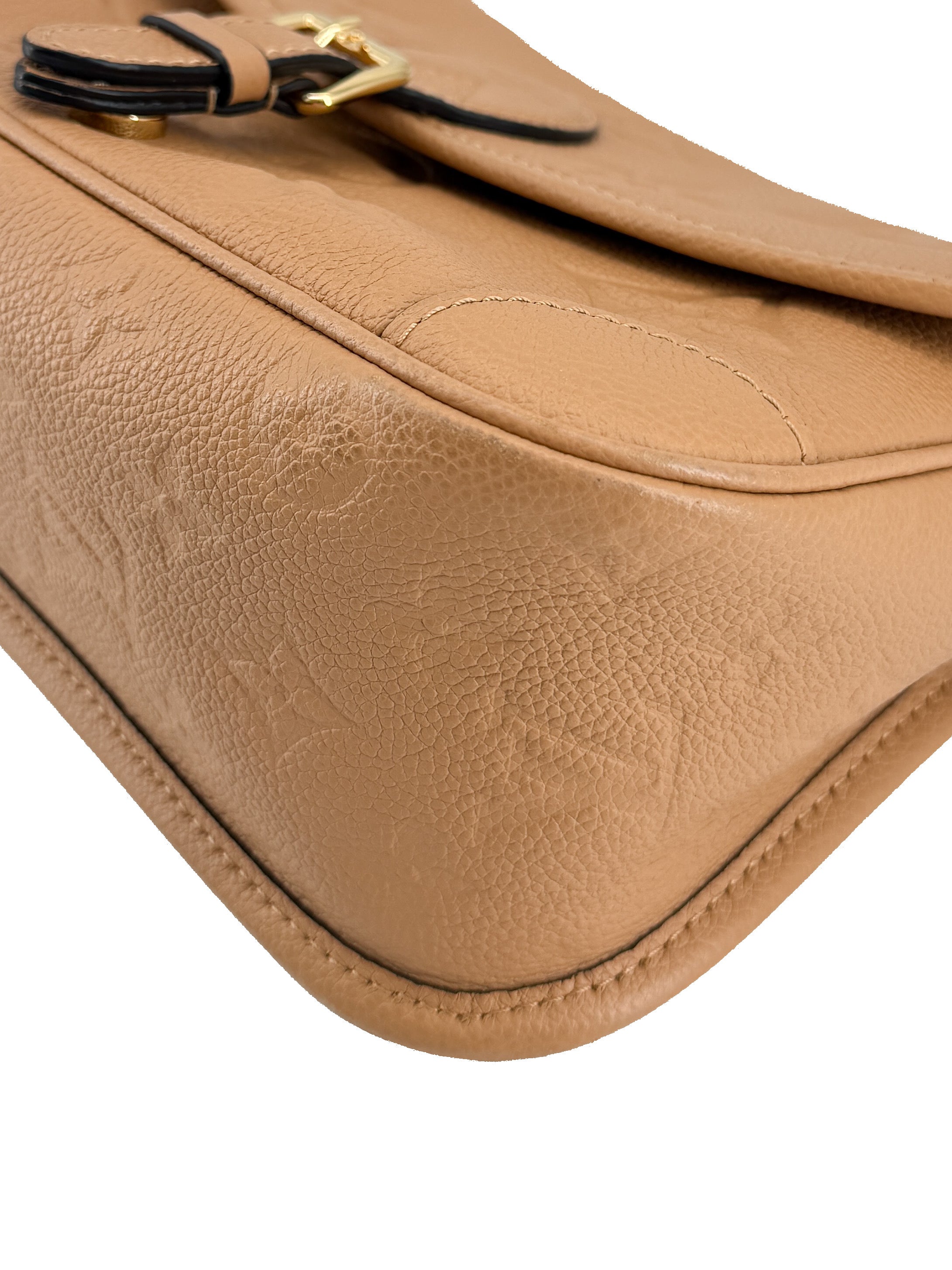 Louis Vuitton monogram empreinte Giant Diane NFC