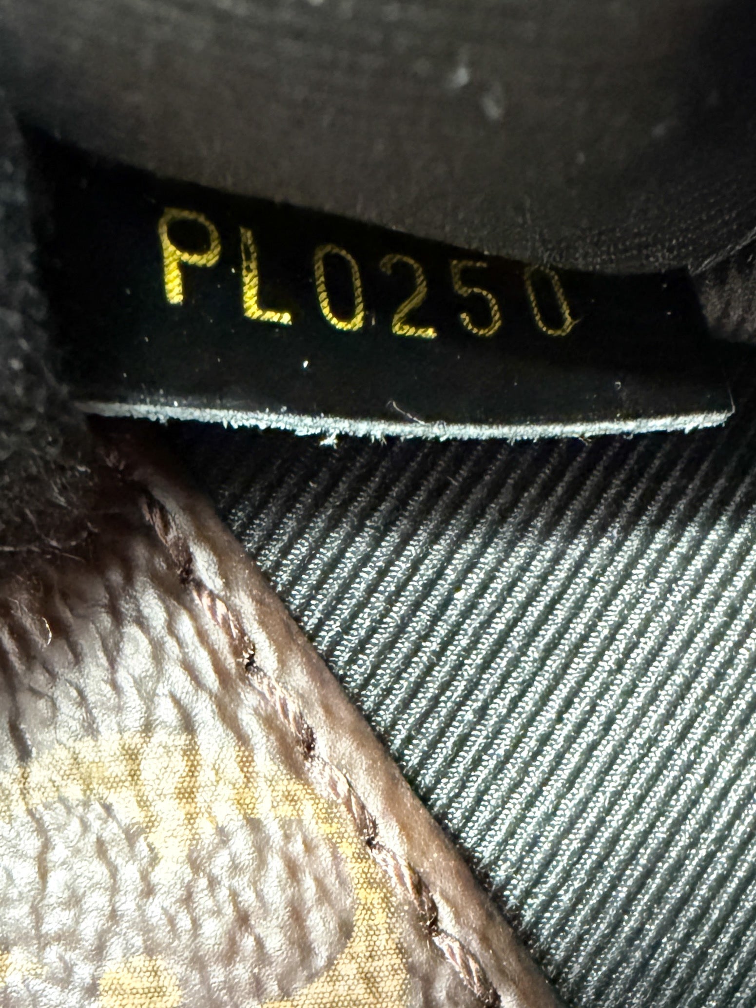 Louis Vuitton Cherrywood BB vernis crossbody PL0250