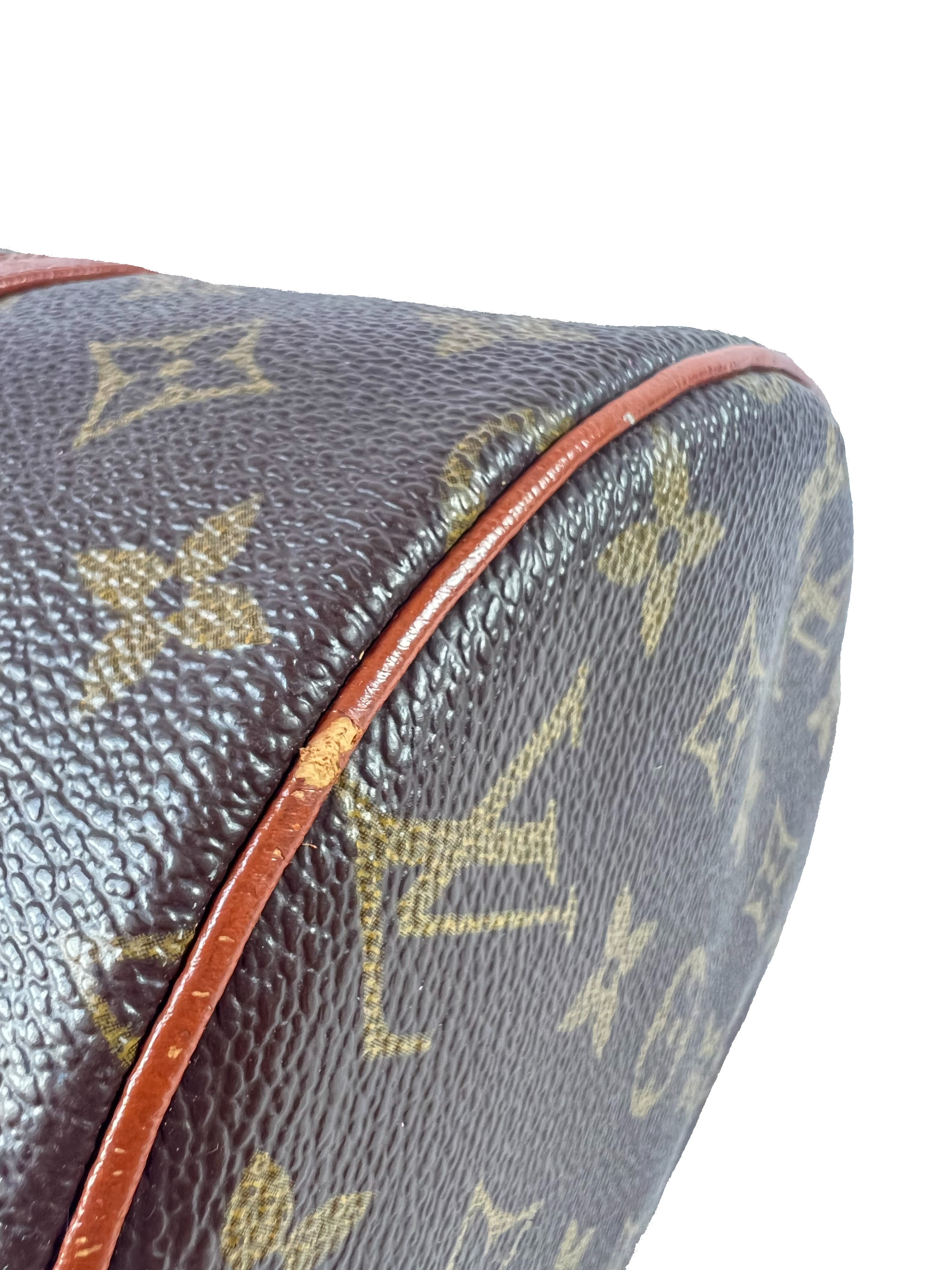 Louis Vuitton monogram Papillon 30 w/mini 871TH