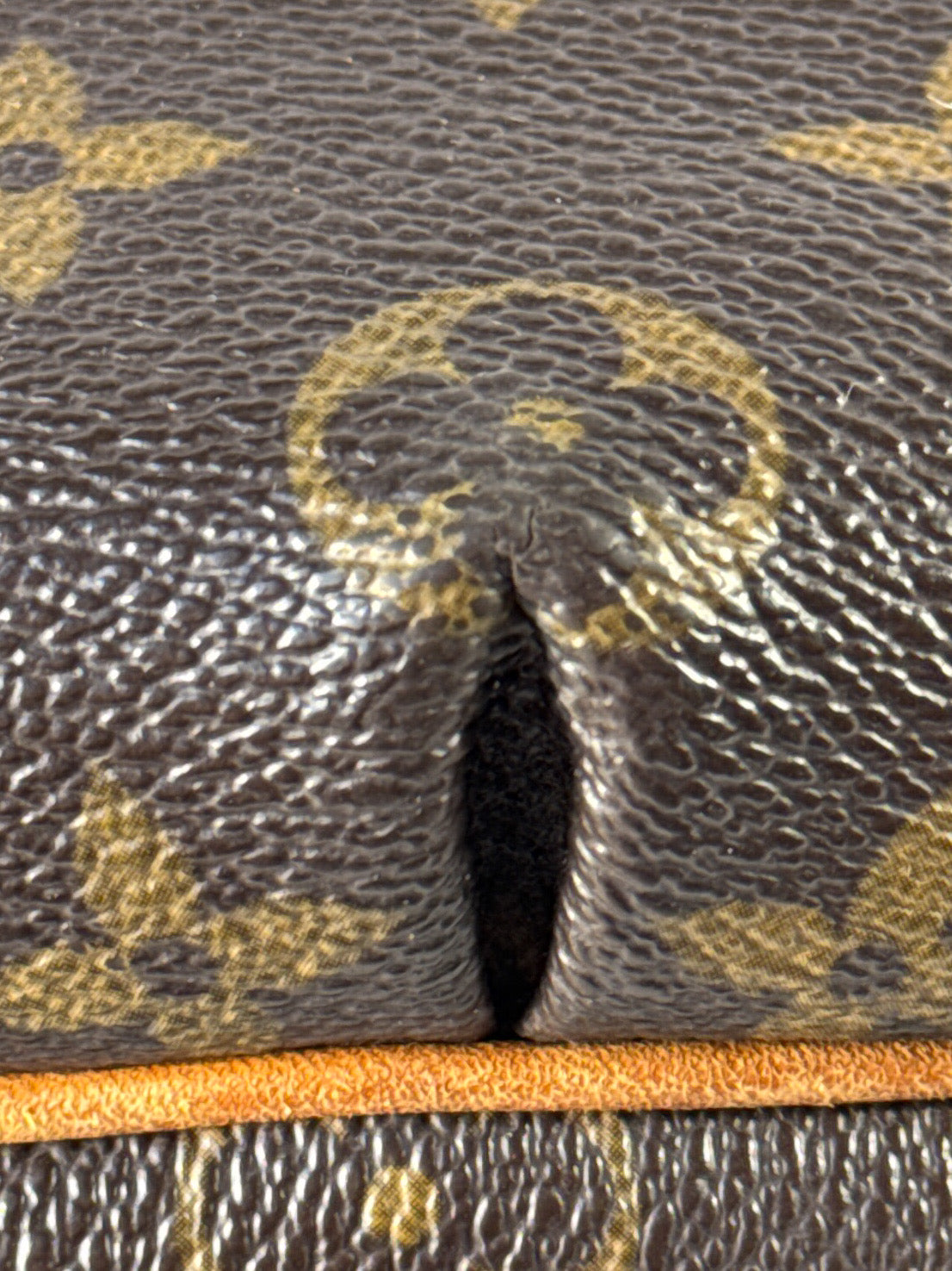 Louis Vuitton monogram Tulum PM shoulder bag CA0017