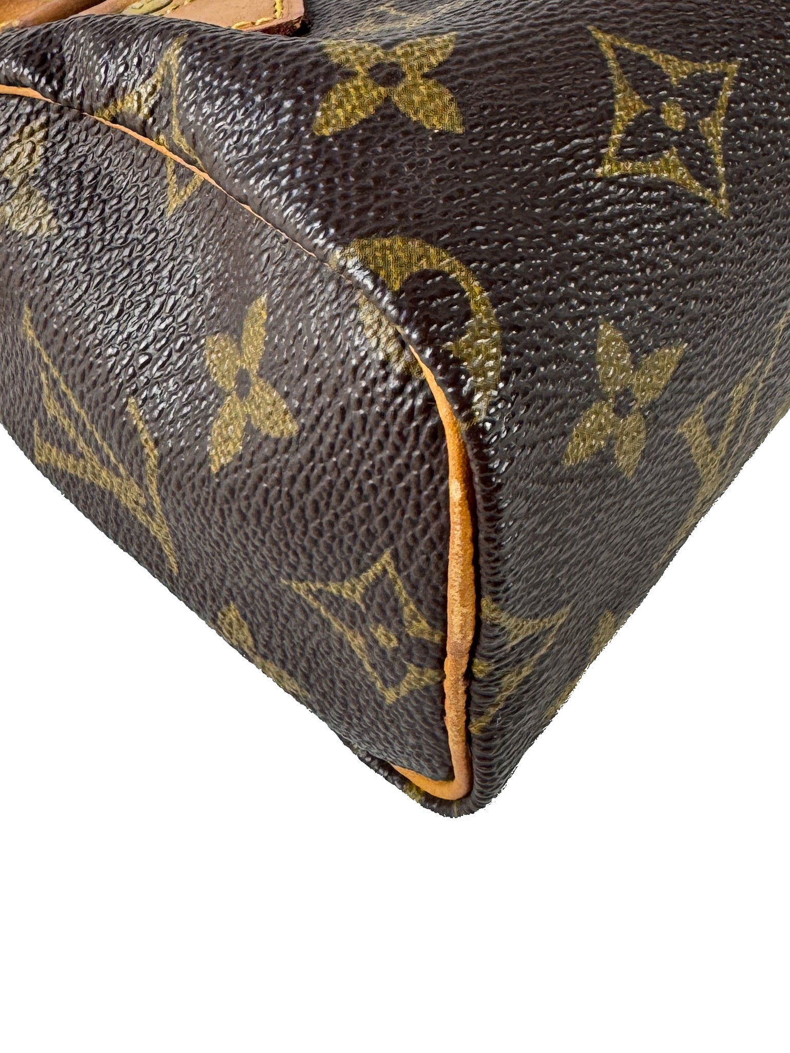 Louis Vuitton monogram mini Speedy TH0692