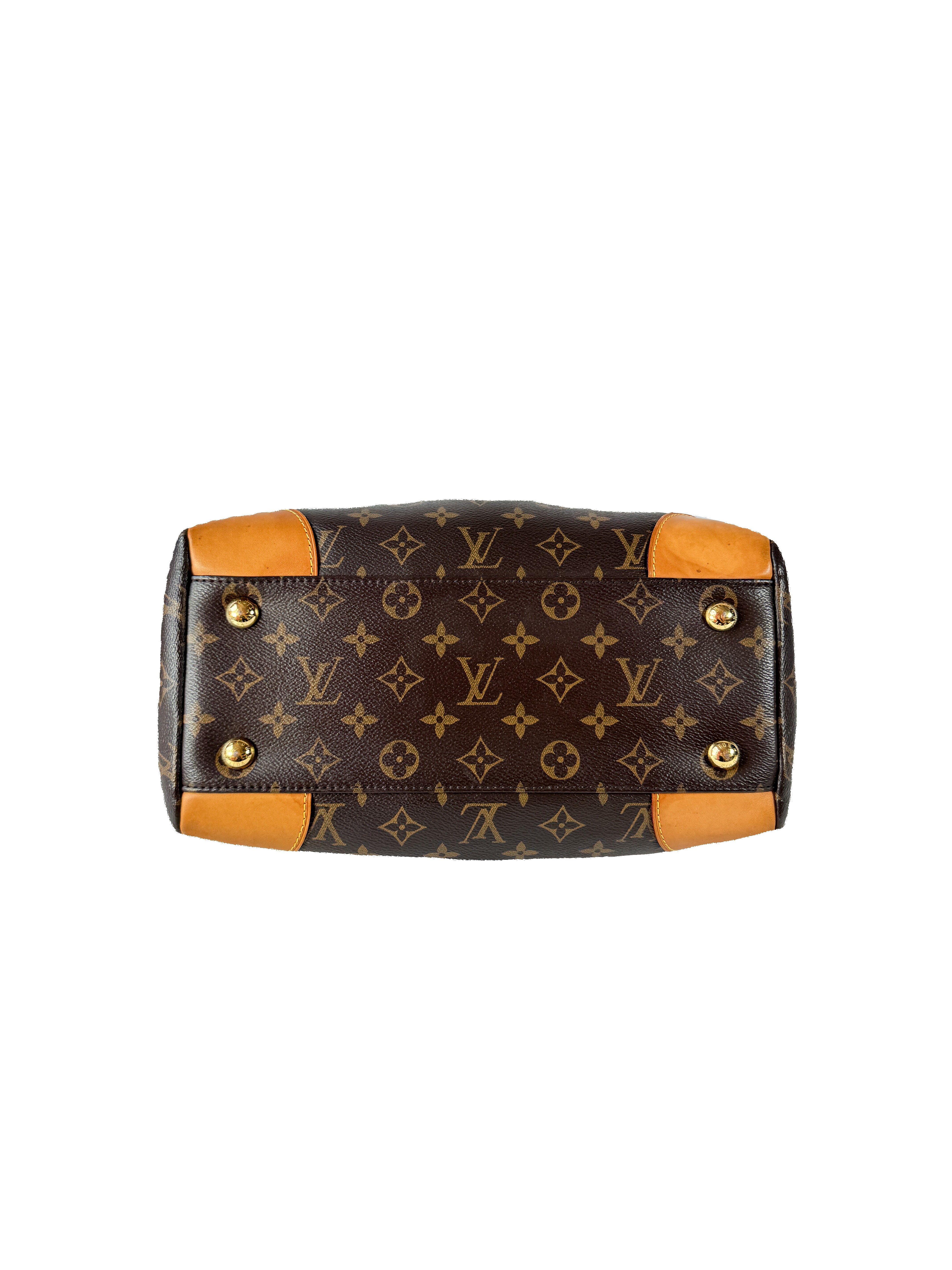 Louis Vuitton monogram Segur bag SP4105