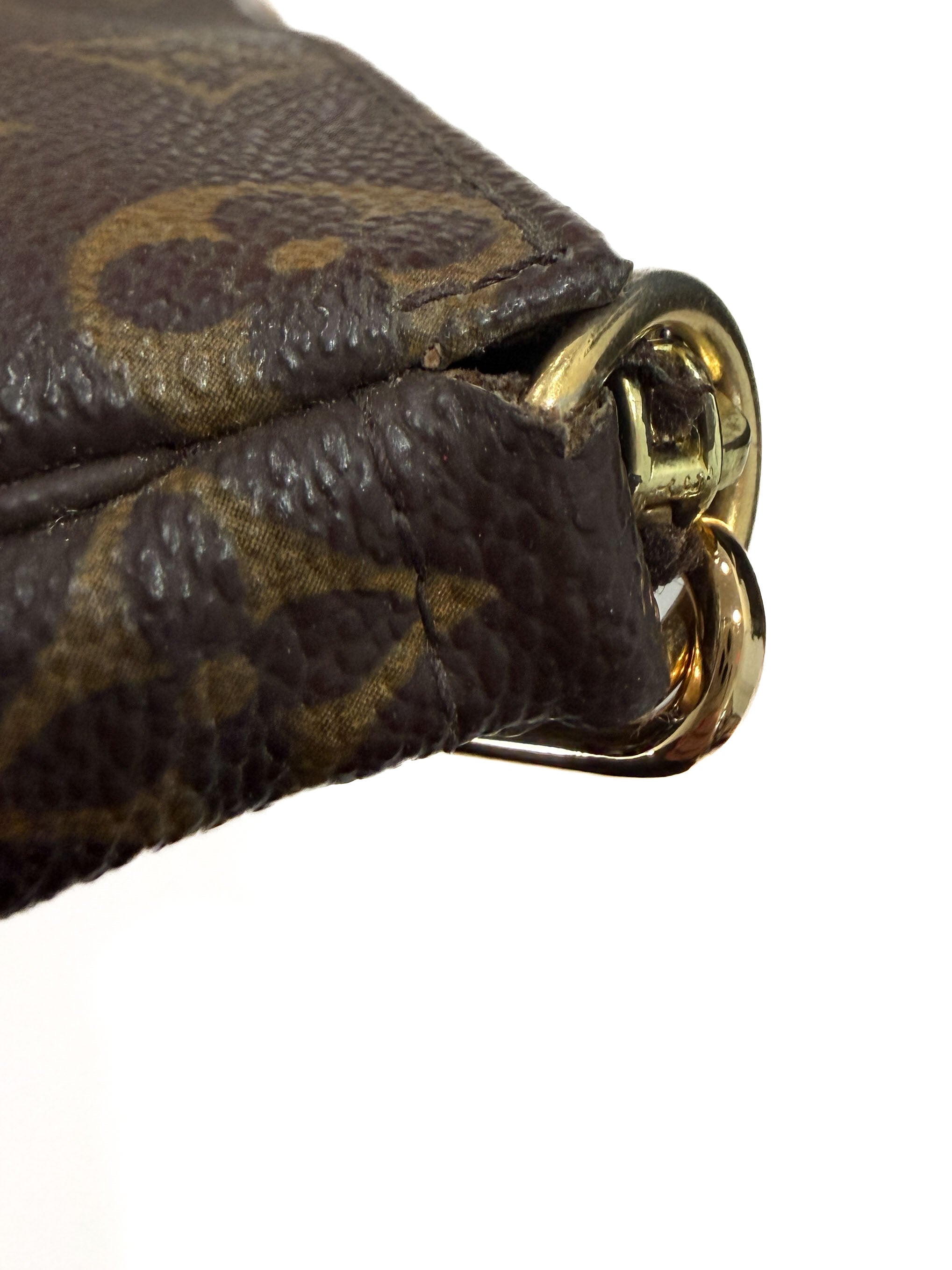 Louis Vuitton monogram Pochette Accessoires Mini FL1013