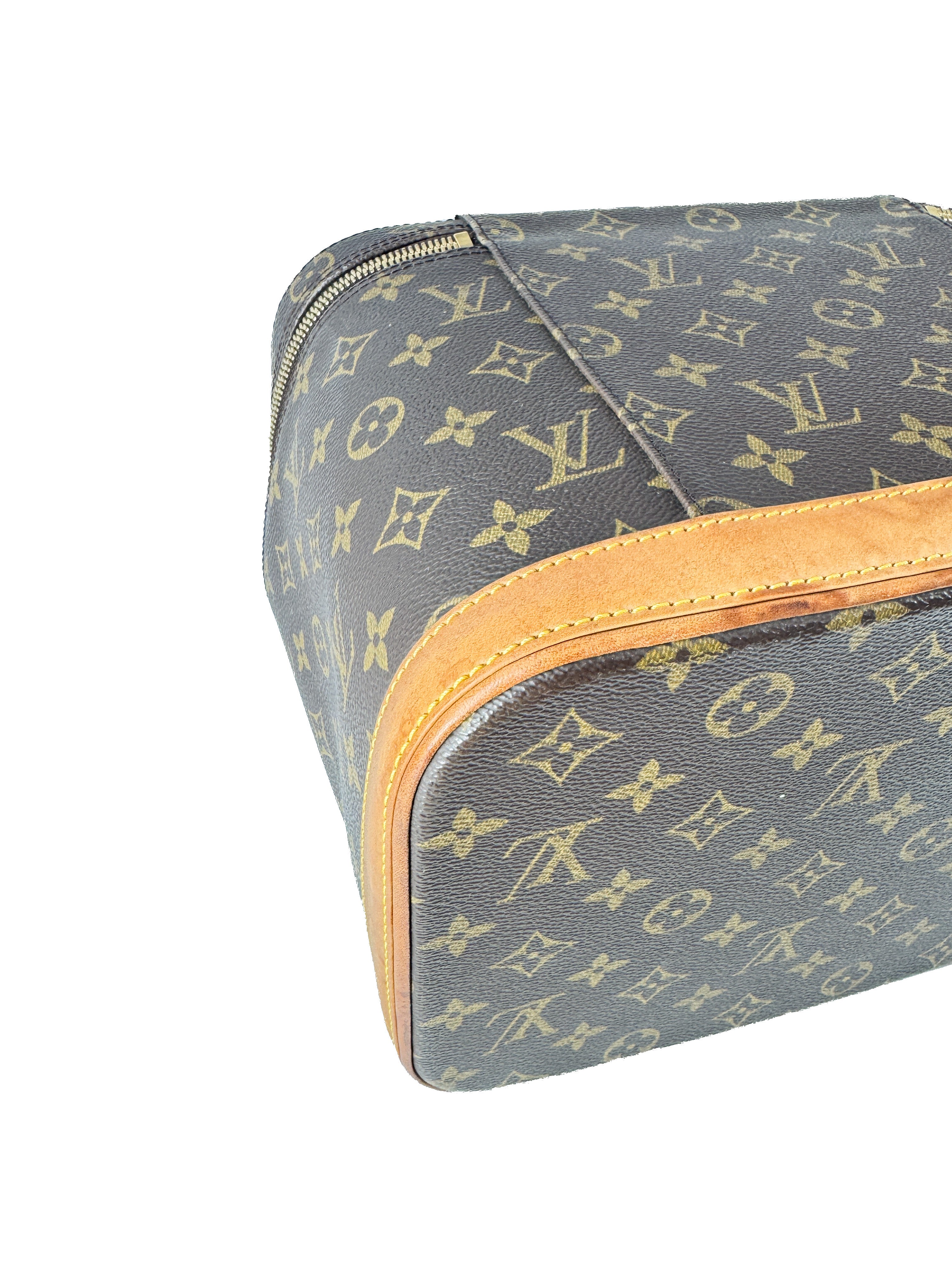 Louis Vuitton monogram Nice vanity crossbody SP0041