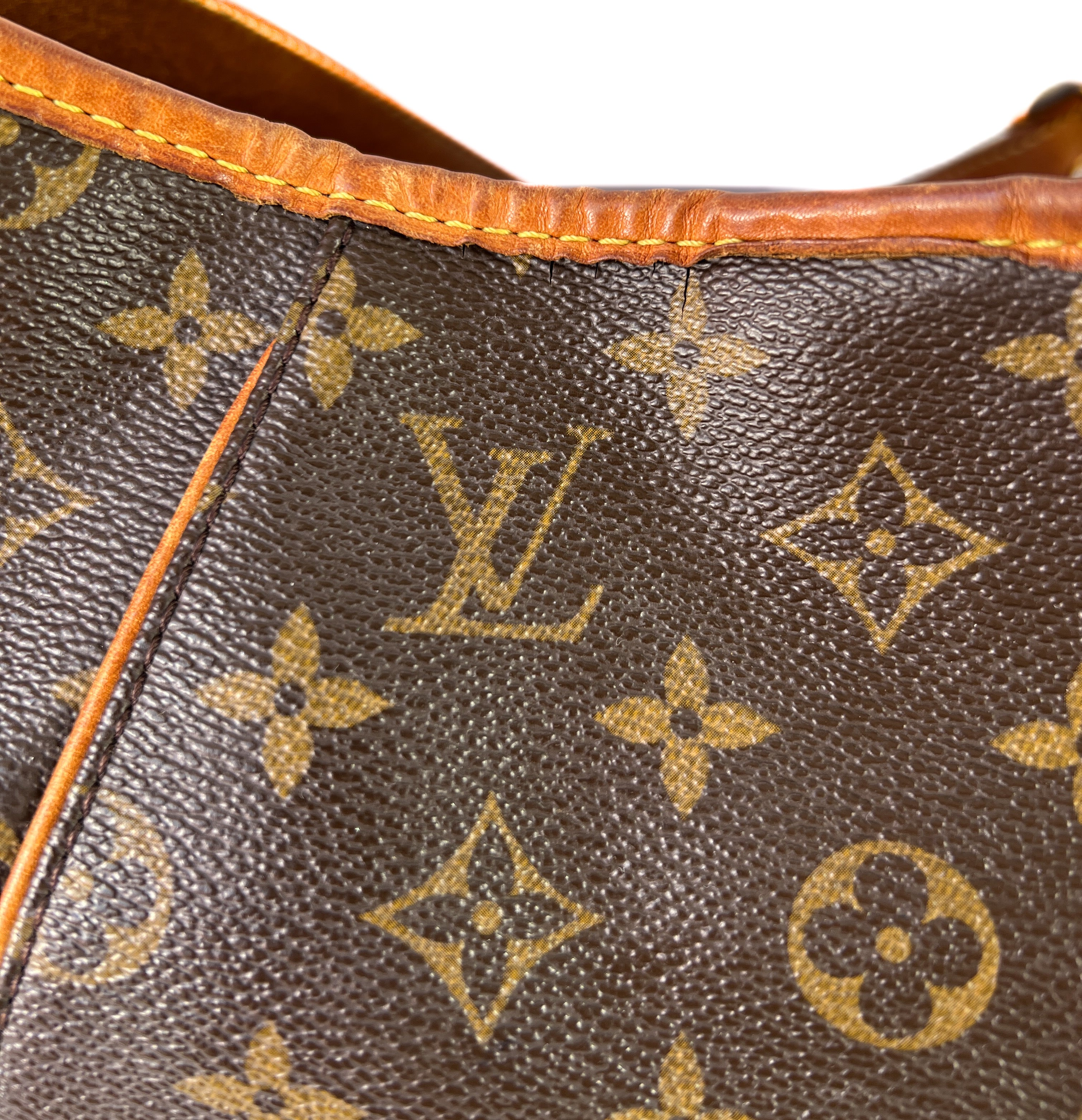 Louis Vuitton Galliera PM shoulder bag